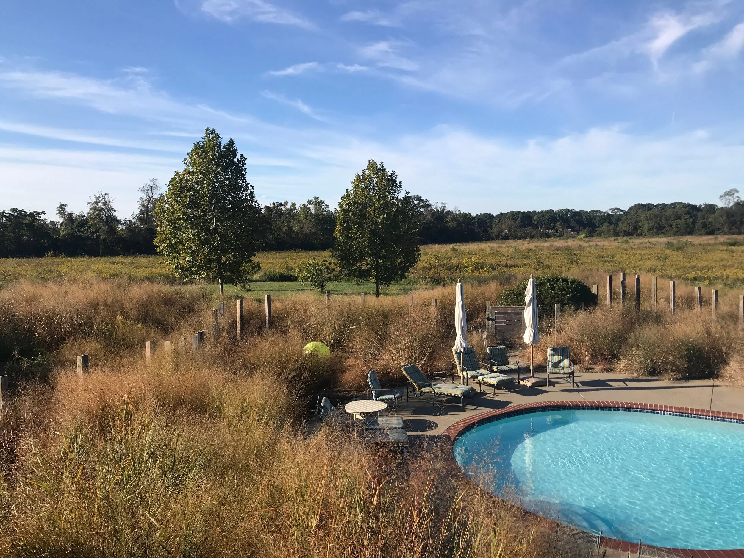 PbD : riverside farm