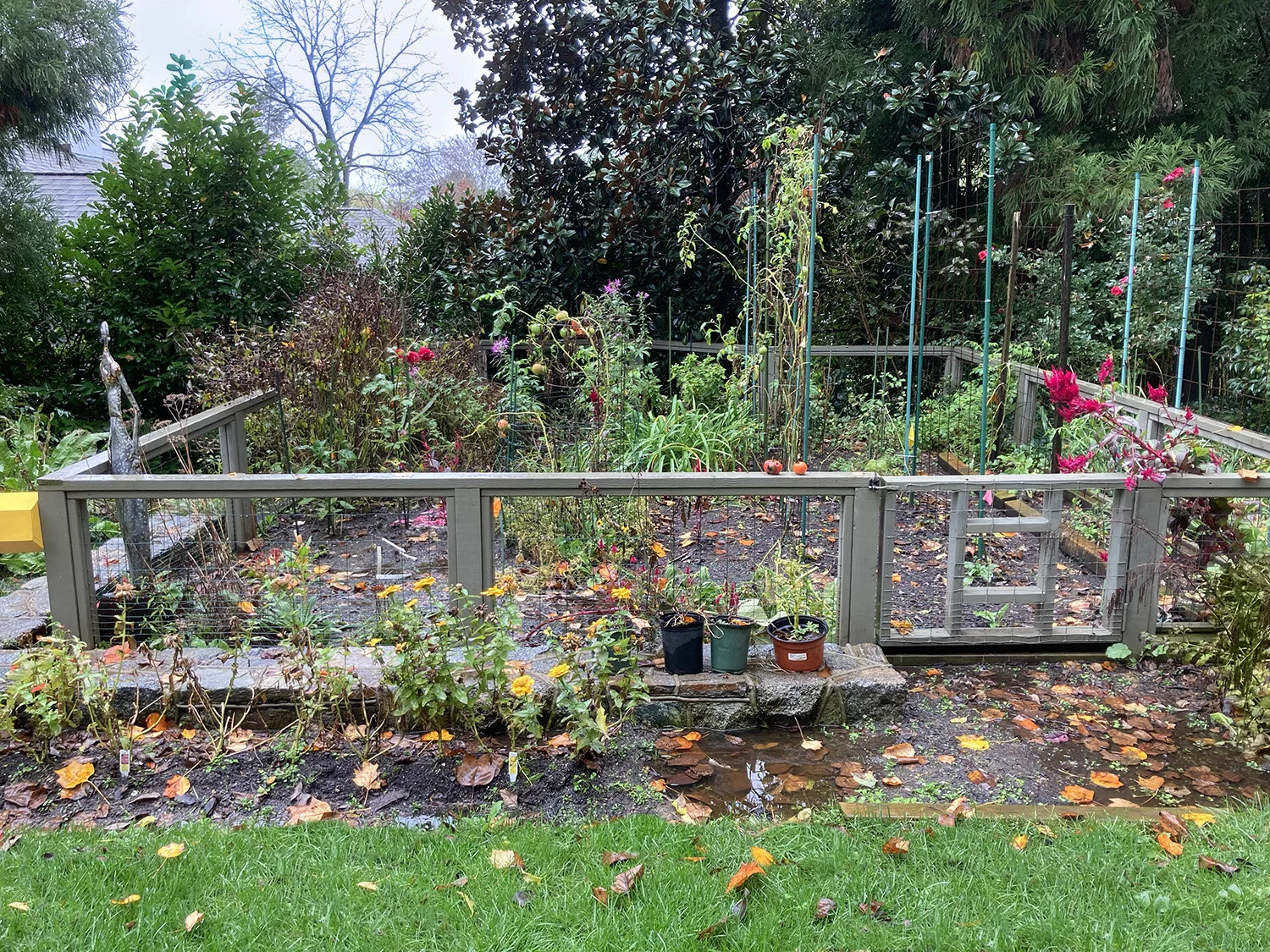 somerset-dd04.jpg
