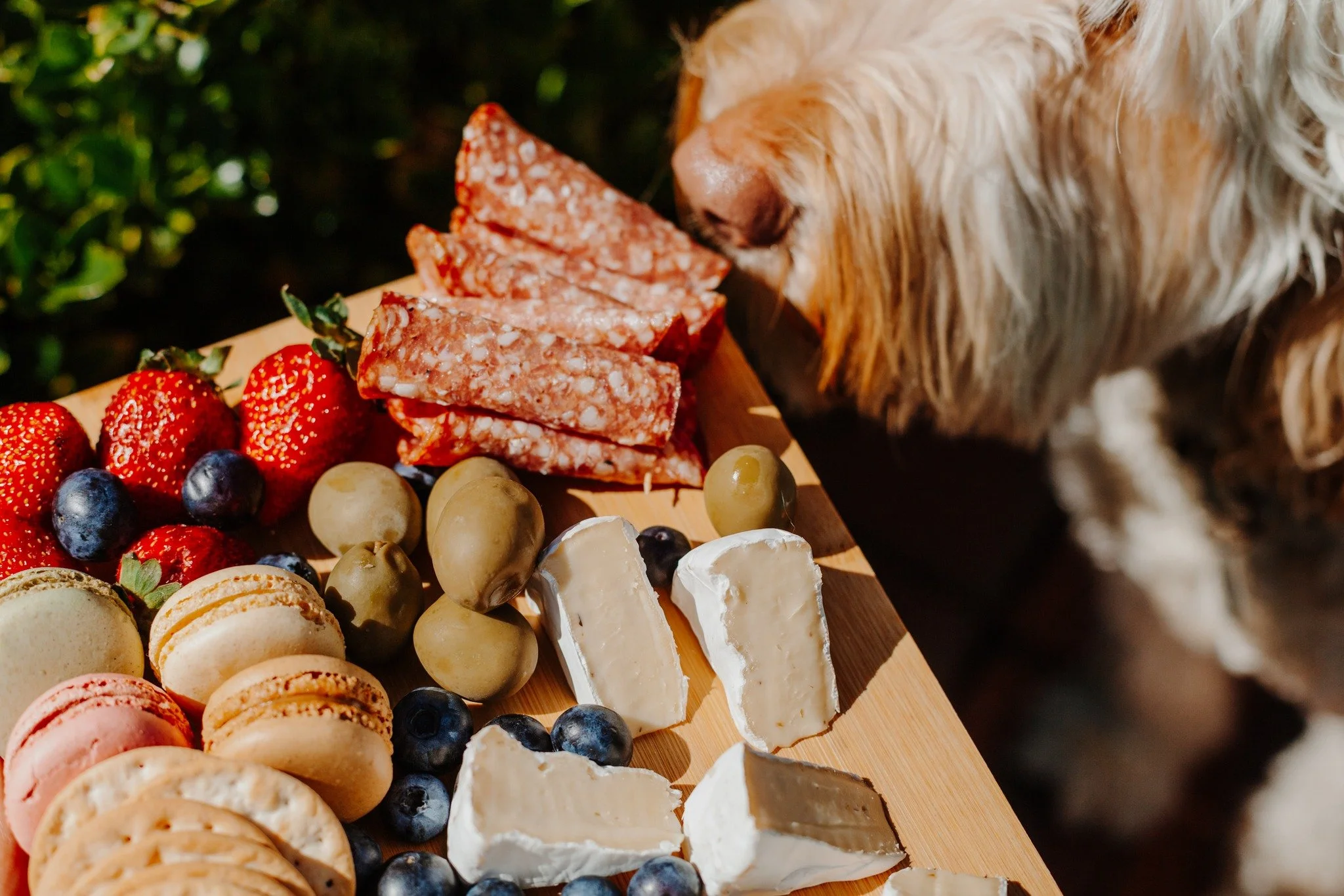 Spring's here, which means longer days, fuller calendars, and endless reasons to host!🧀🌼