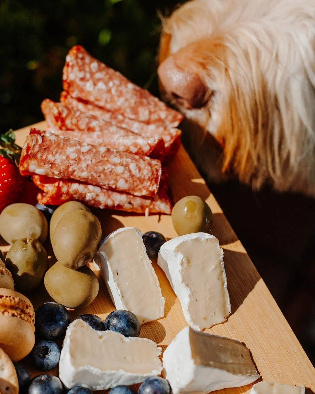 Simply irresistible ✨