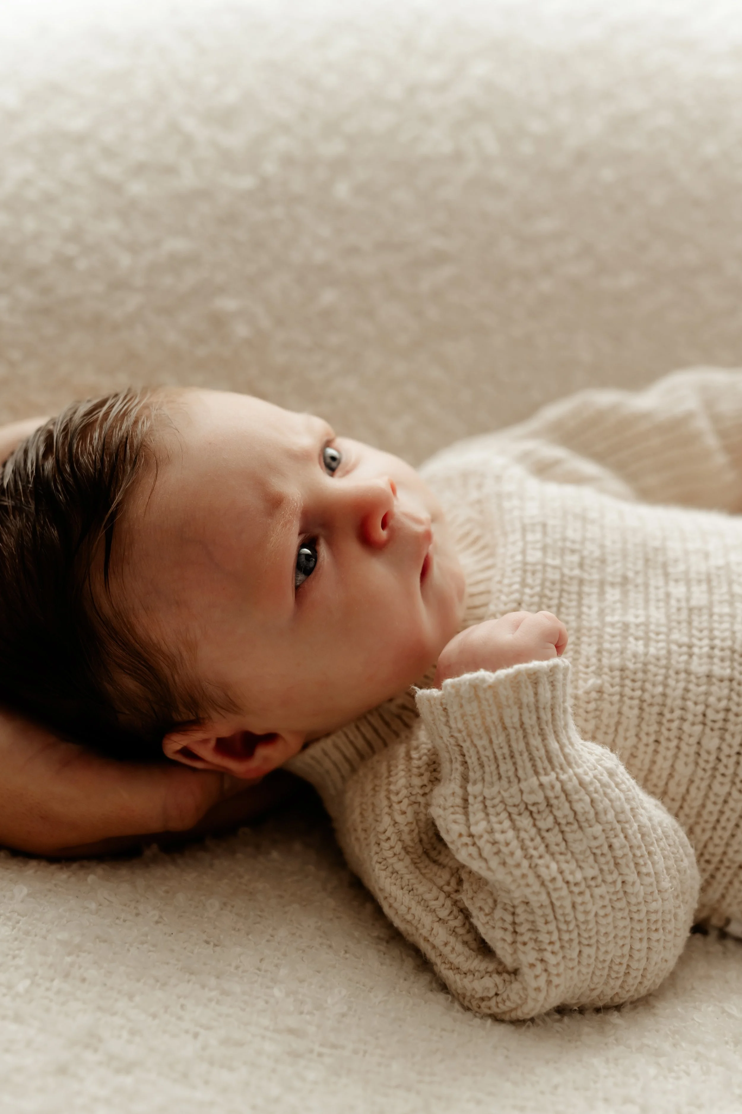 newborn photography logan