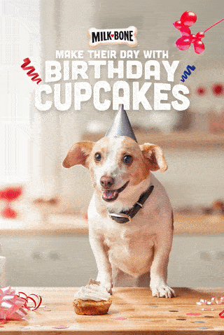 zacCollopy_milkbone.gif