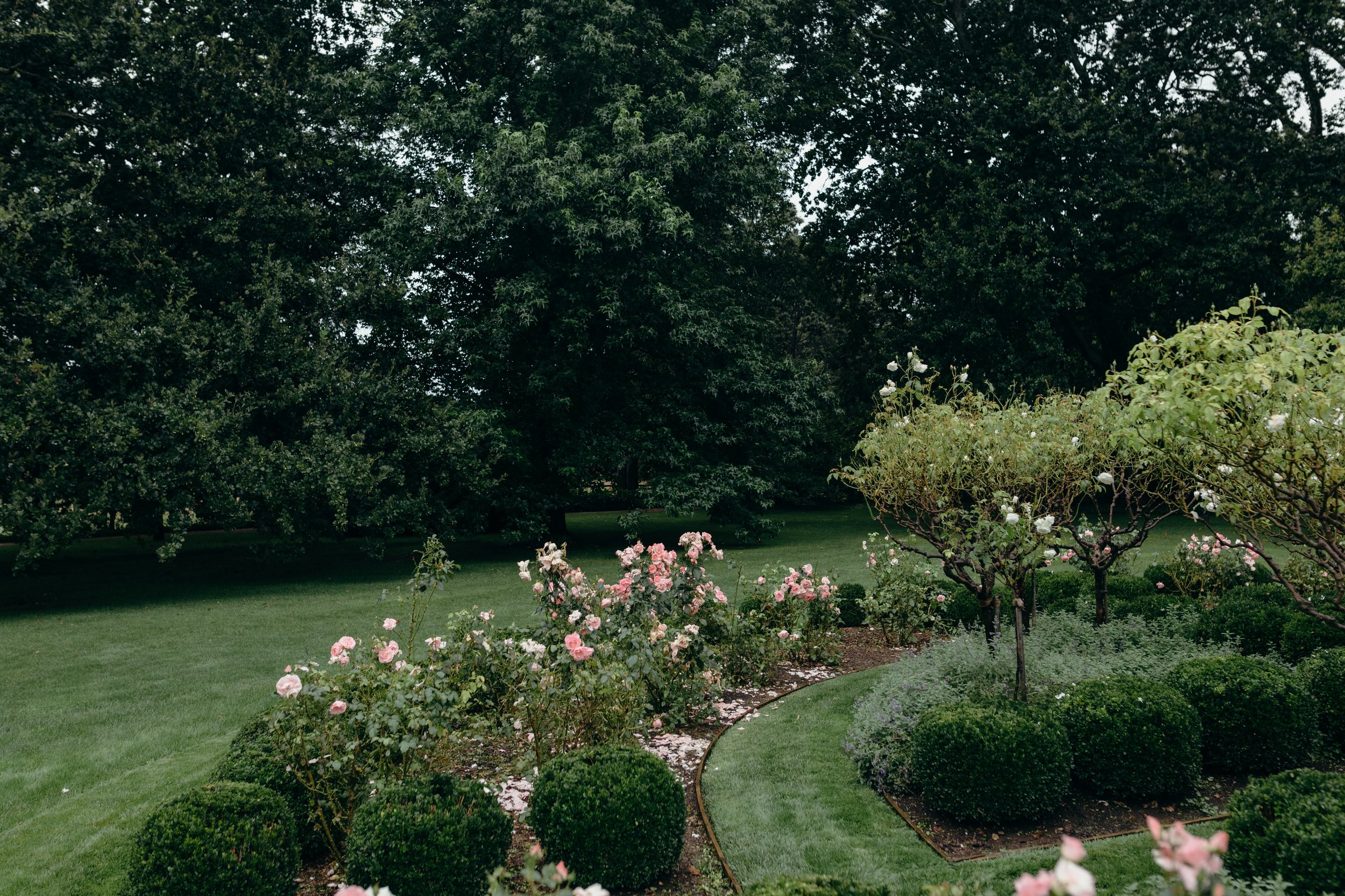 shenayd+drew-80.jpg