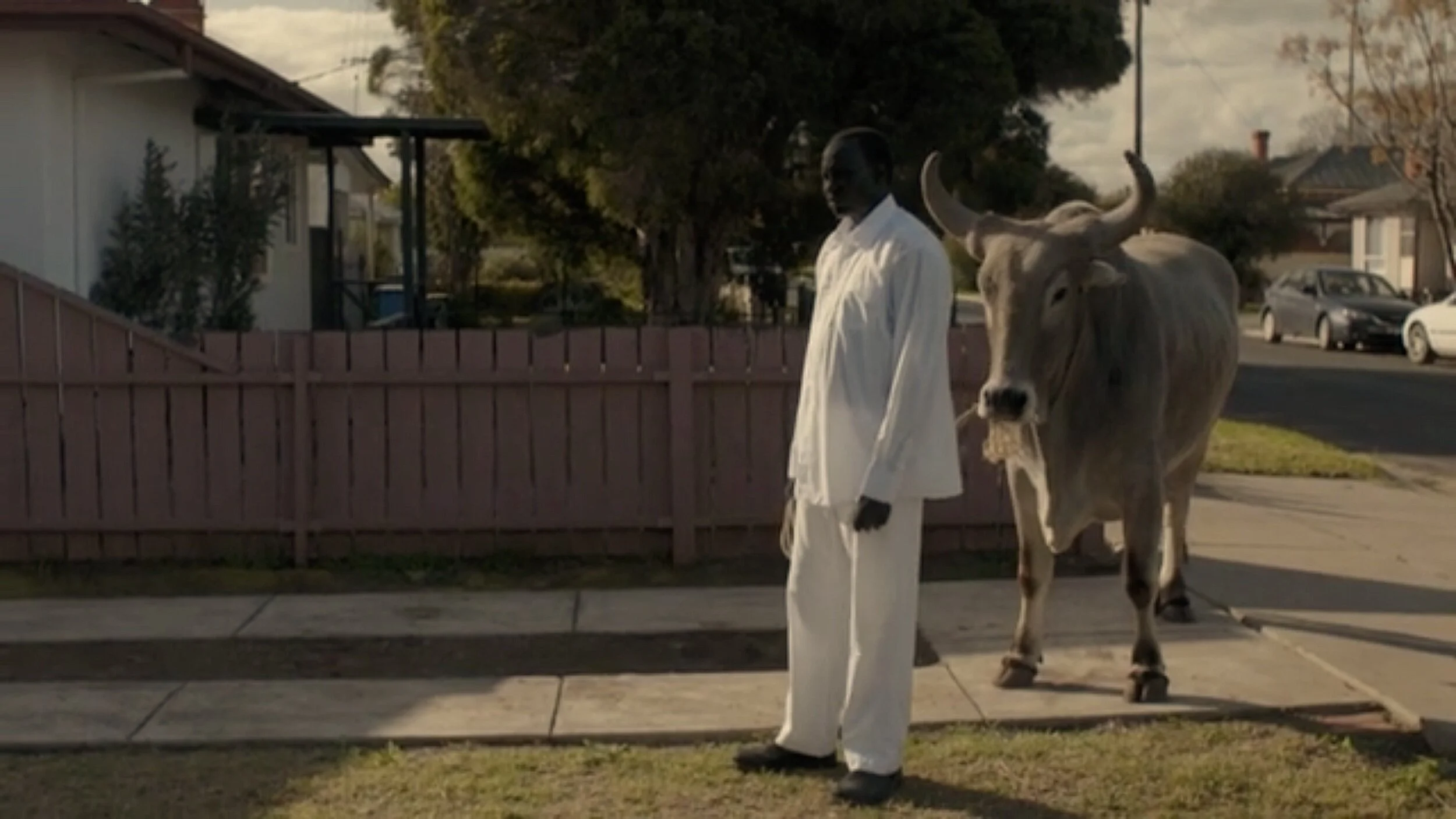 Screen Shot 2021-02-04 at 10.51.41 pm.png