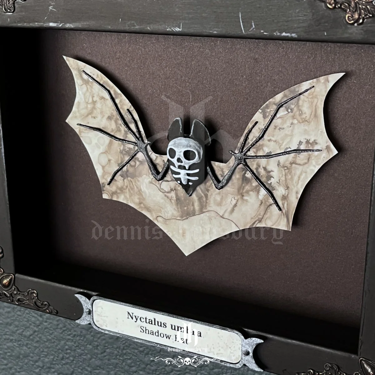 Bat-ShadowSml4.jpg