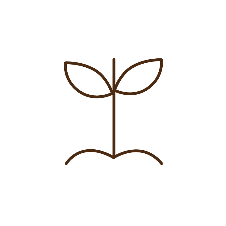 Mental Health Coaching Site Icon