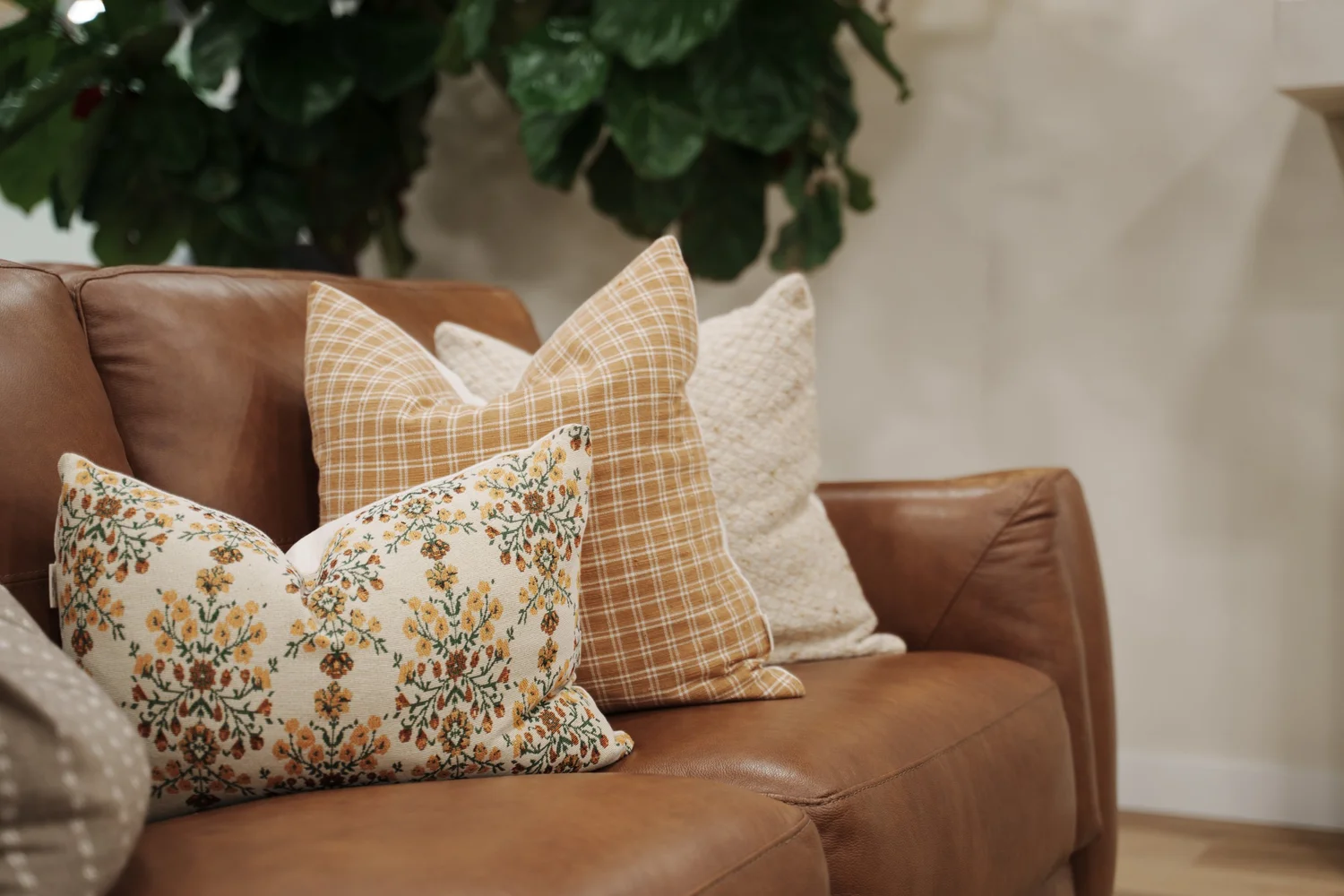 Calgary Home Shows — preview