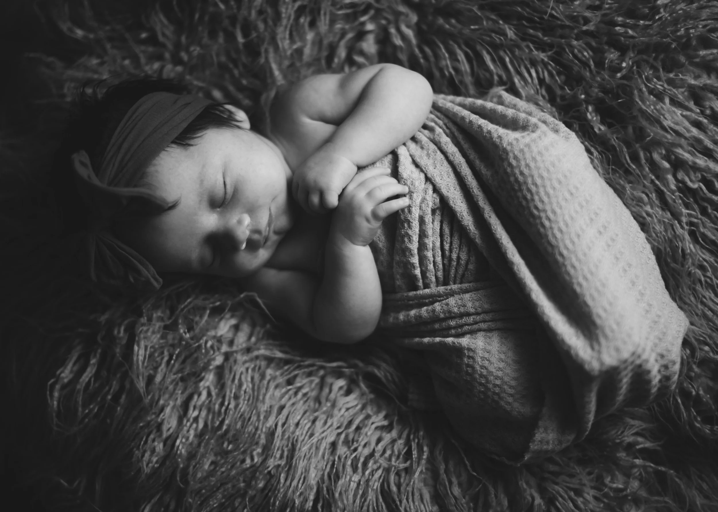 _DSC9631-Edit copy.jpg