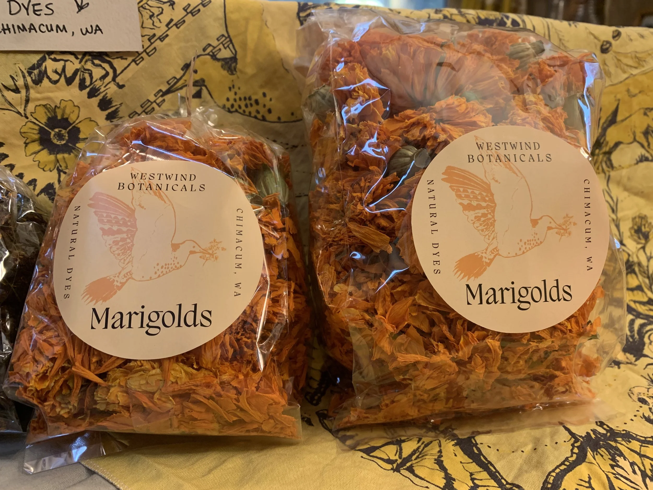 marigold2.jpg