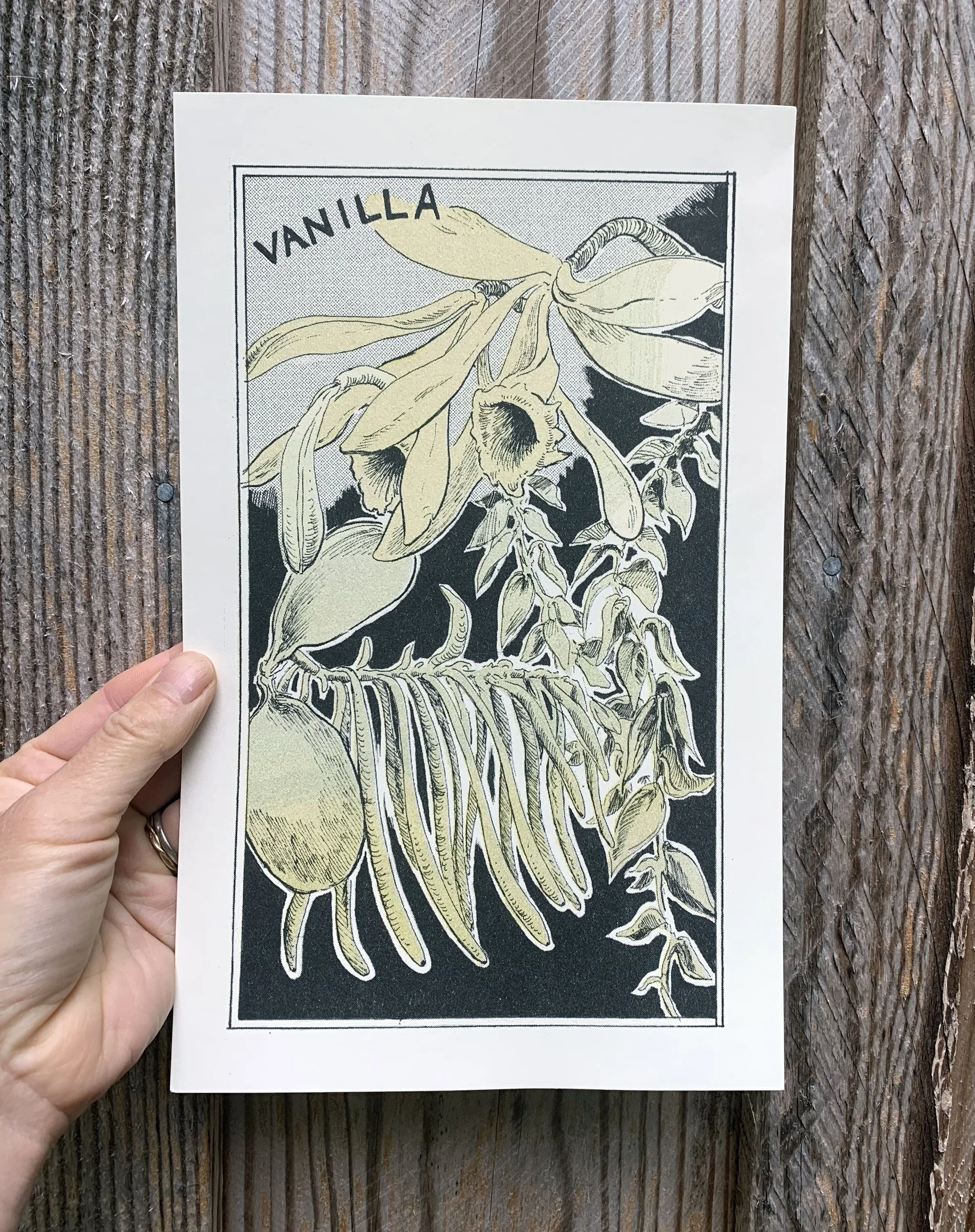 vanillaprint2.jpg