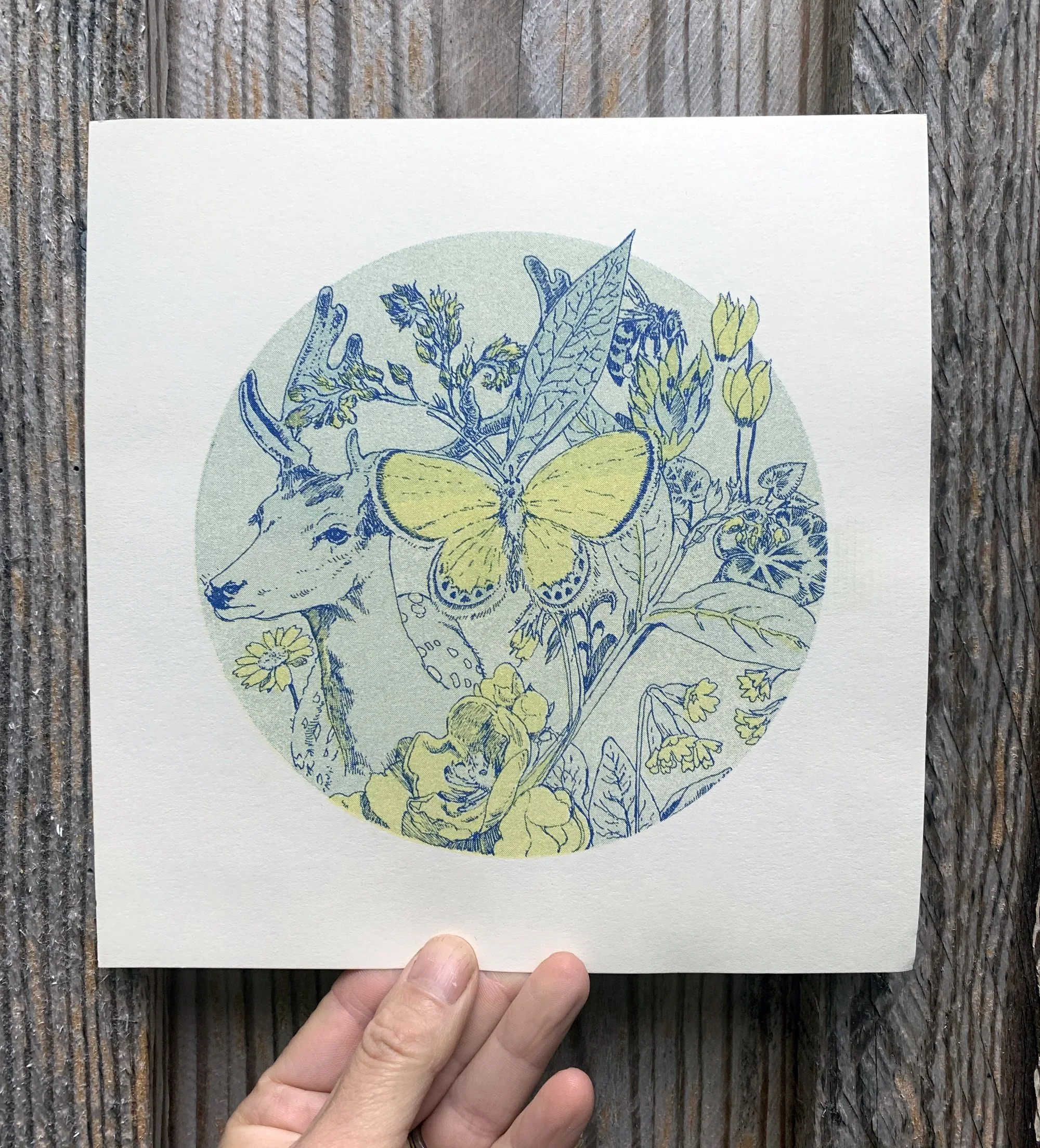 deerandbutterflyprint1.jpg