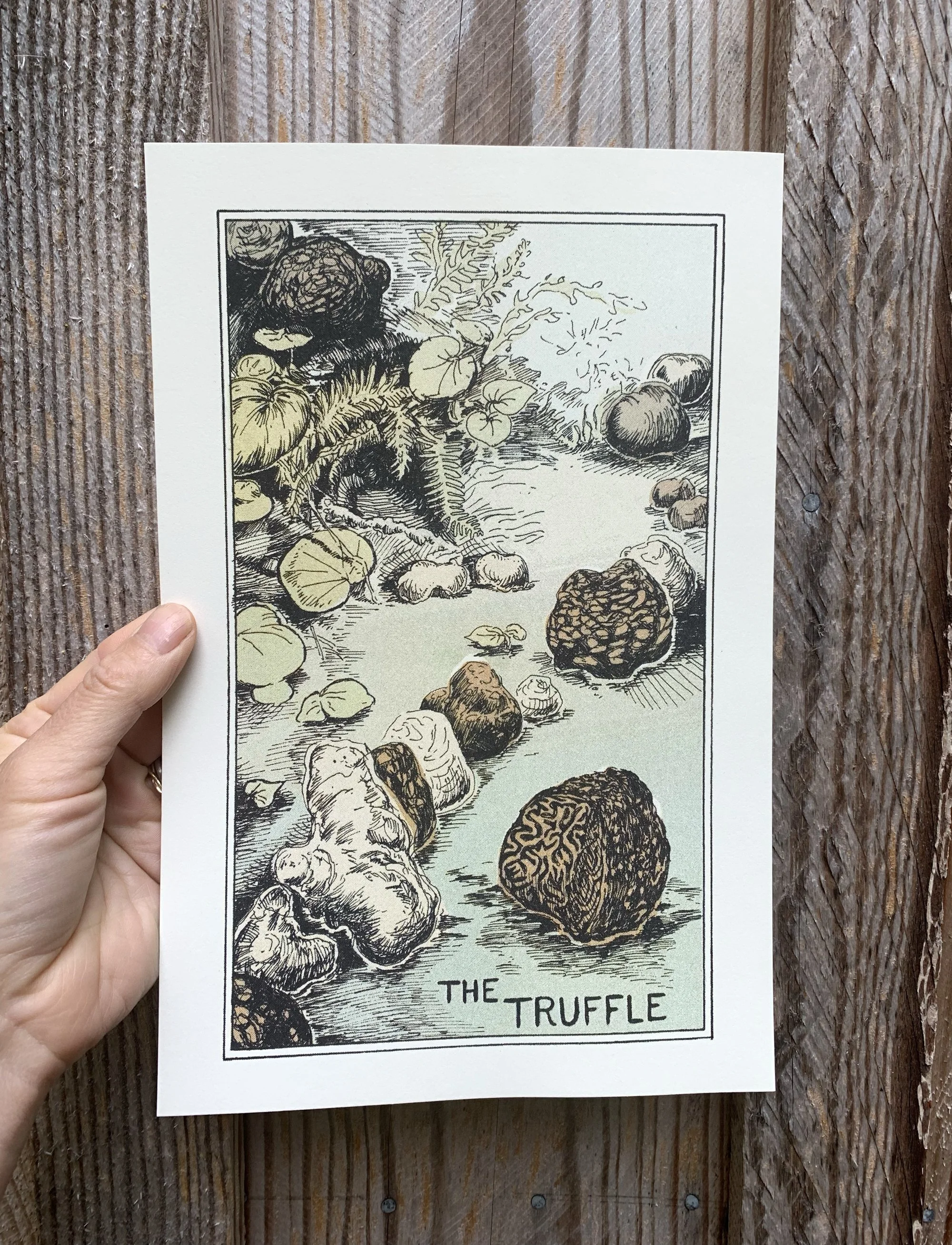 truffleprint2.jpg