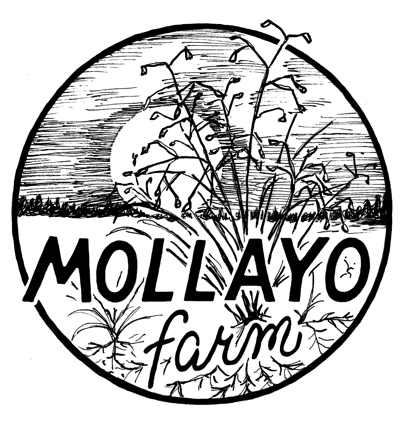 mollayofarmDrawnBlackonWhite.png
