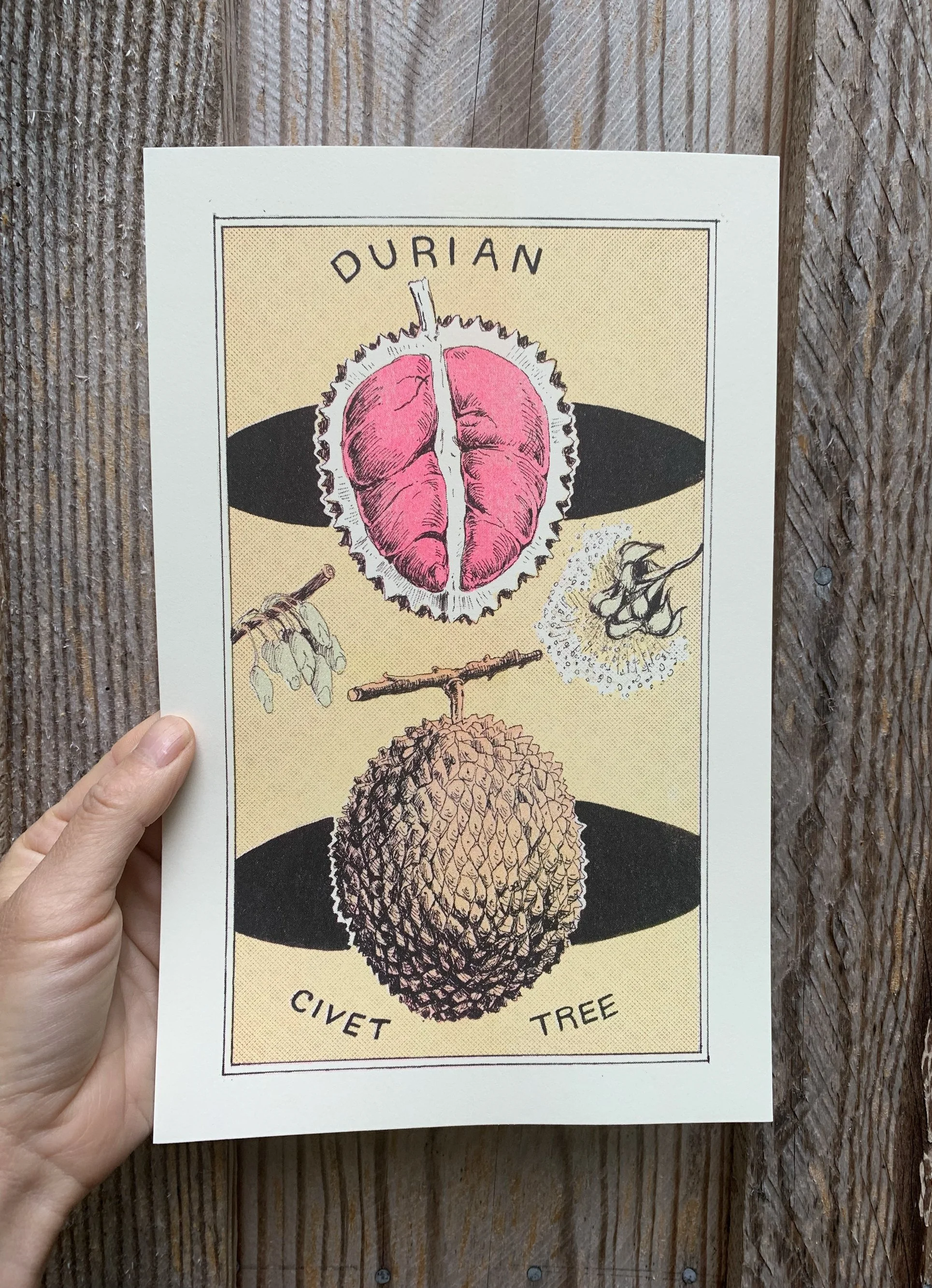 durianprint1.jpg