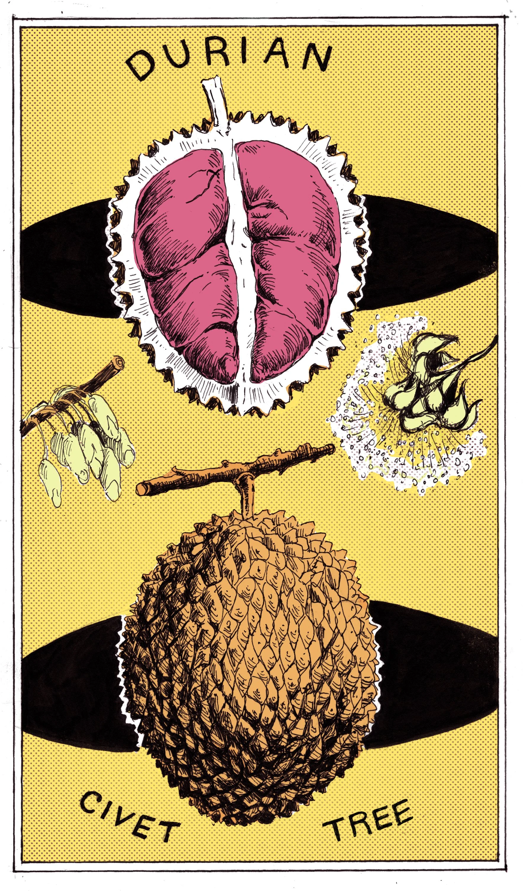 durian_mardikes.jpg