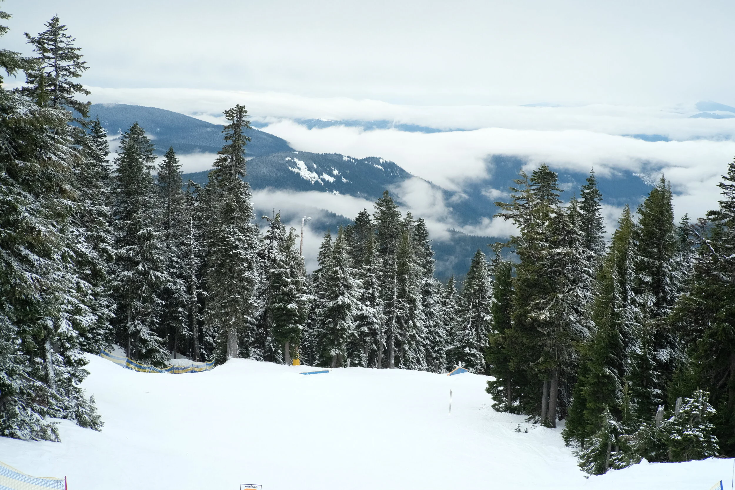 DSCF6789.JPG