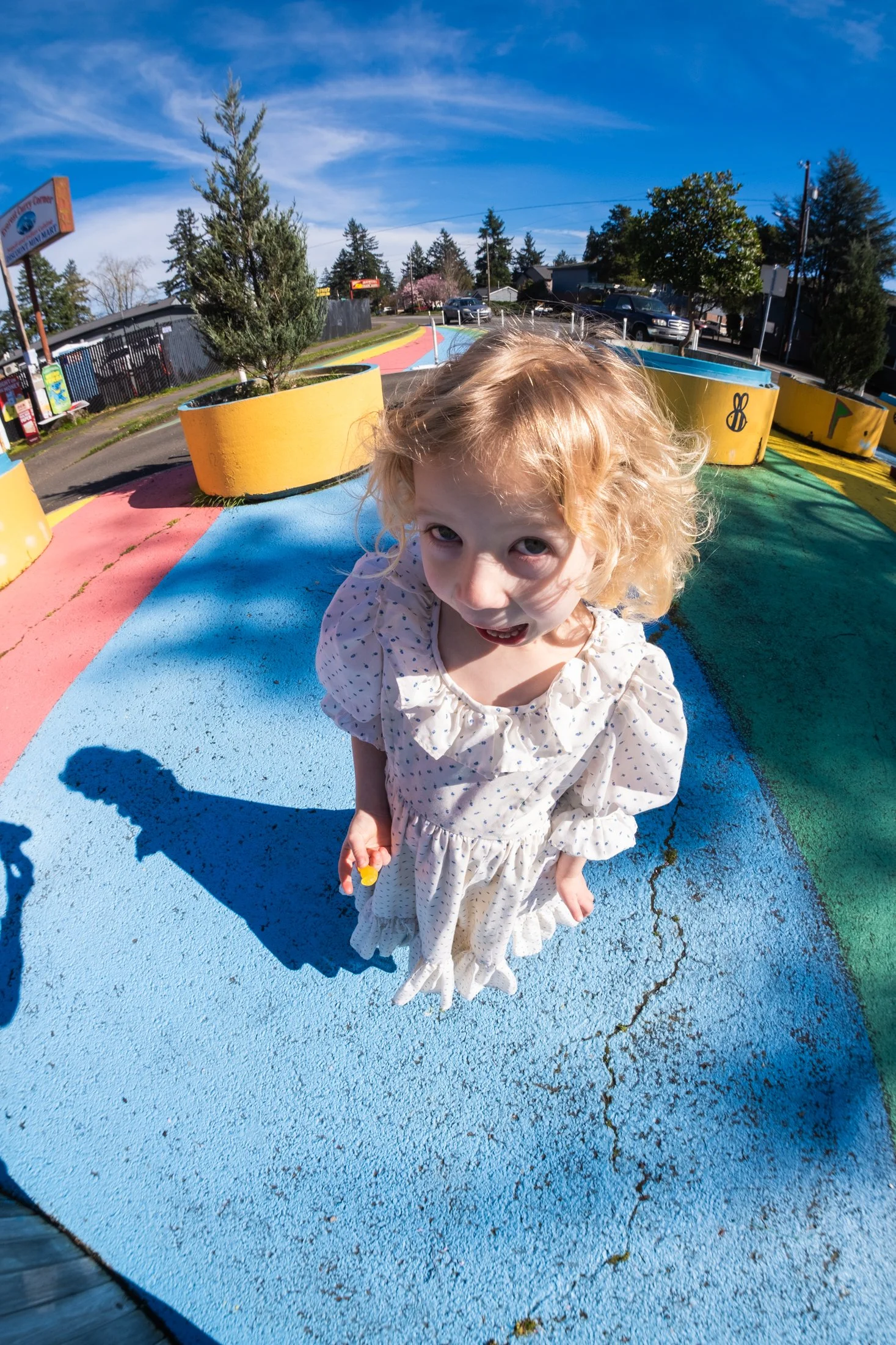 DSCF2650-3.jpg