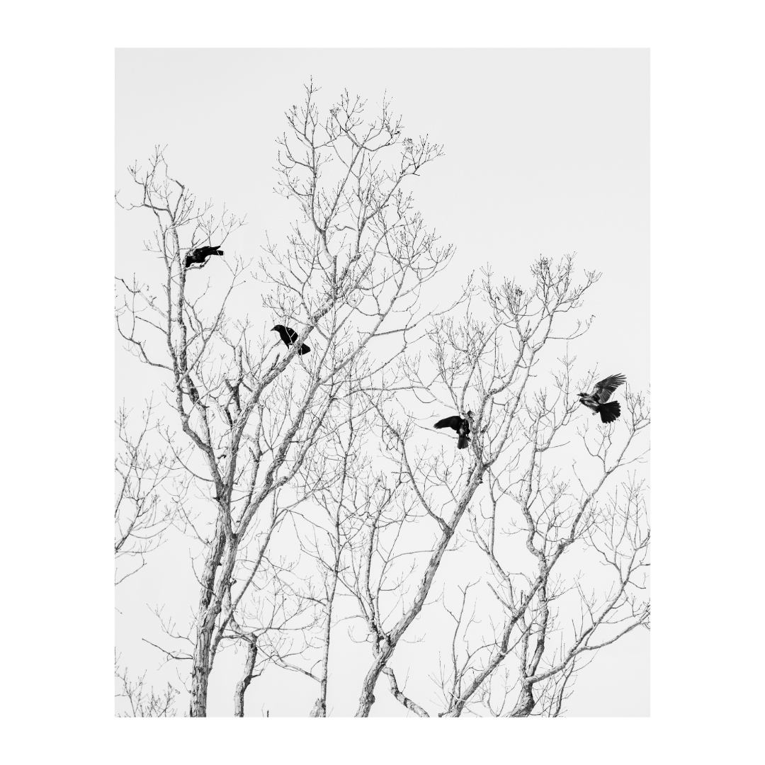 Untitled.png