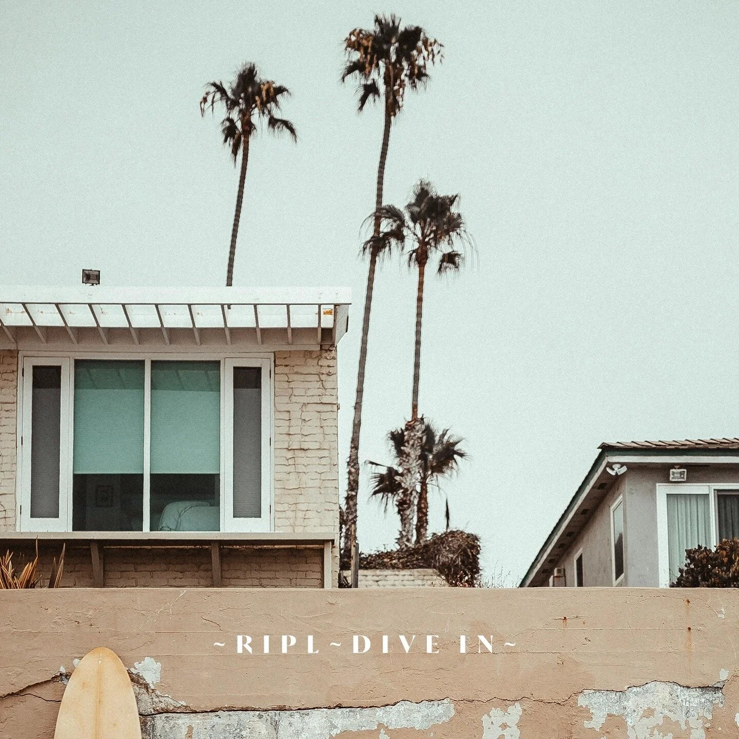 Vibe 🌊⁠
⁠
⁠
#riplseltzer #divein #brookvale #WavesforWater #W4W #drinkwise #alcoholicsparklingwater #seltzer #hardseltzer