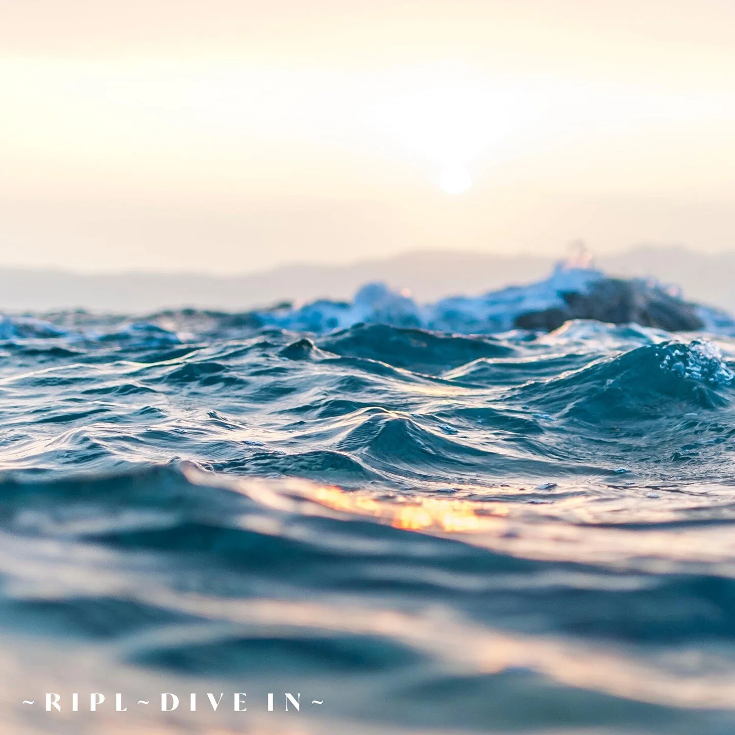 Ripl Seltzer ~ Dive in