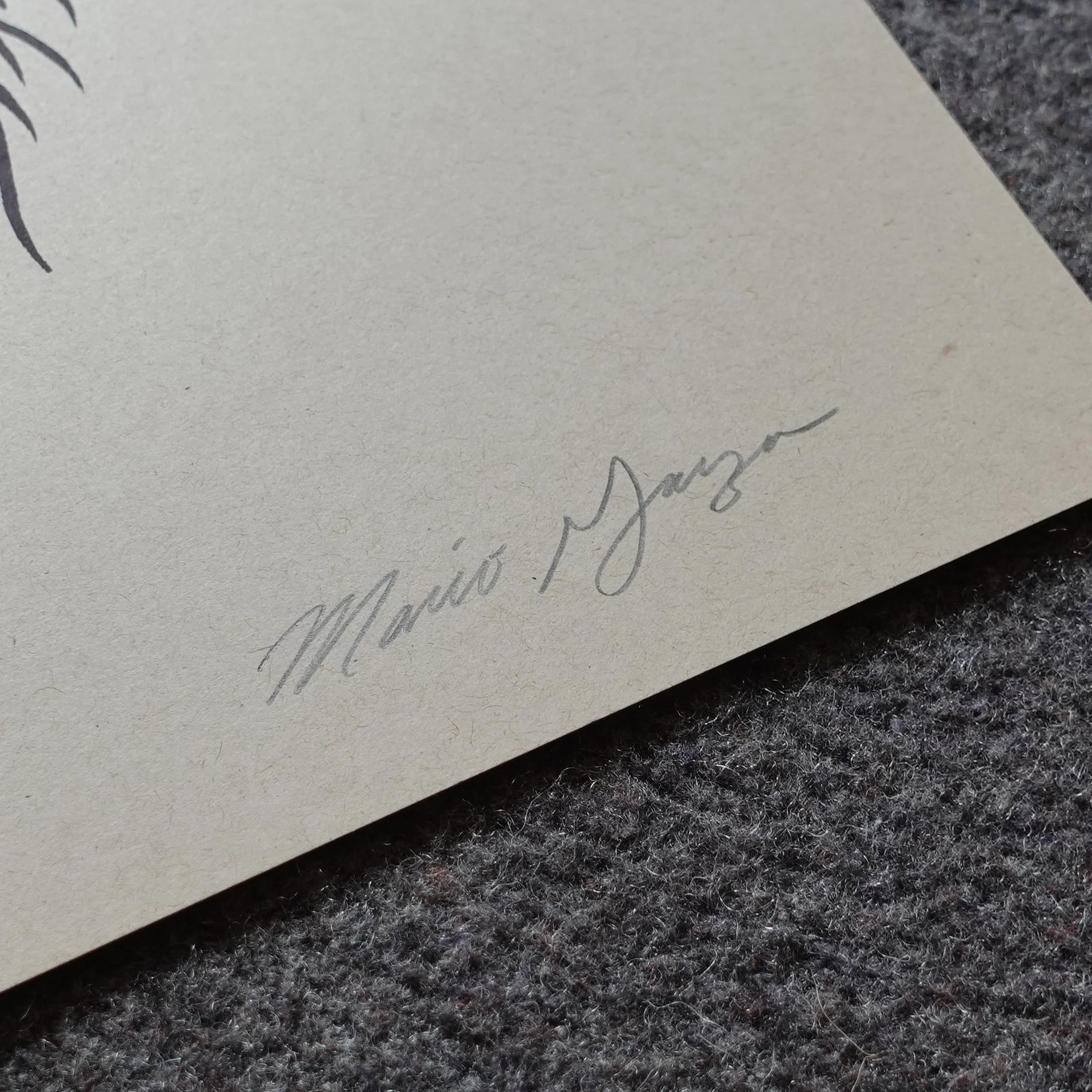 WEBSITEPICS_0000_Layer 4.jpg