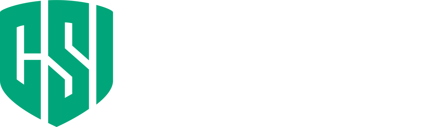 Cyber Safe Insurance