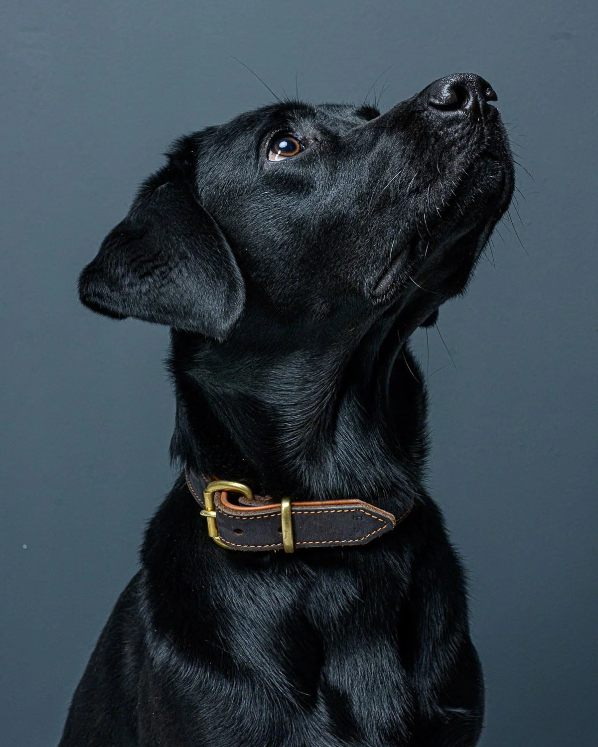 geri_krischker_fotograf_portrait_7.jpg
