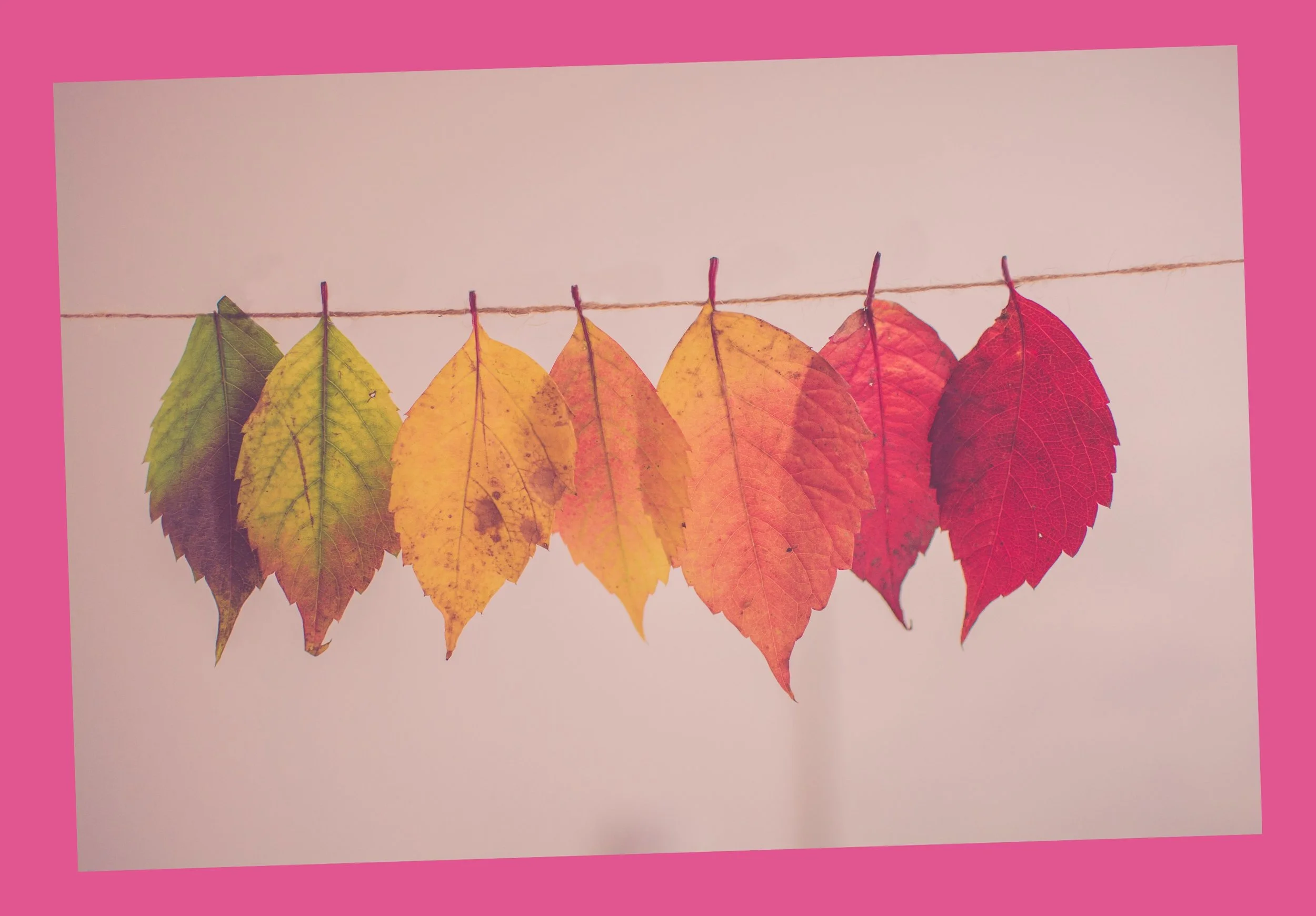 Embracing the Unknown: 4 Wisdom-Packed Quotes for Navigating Change.