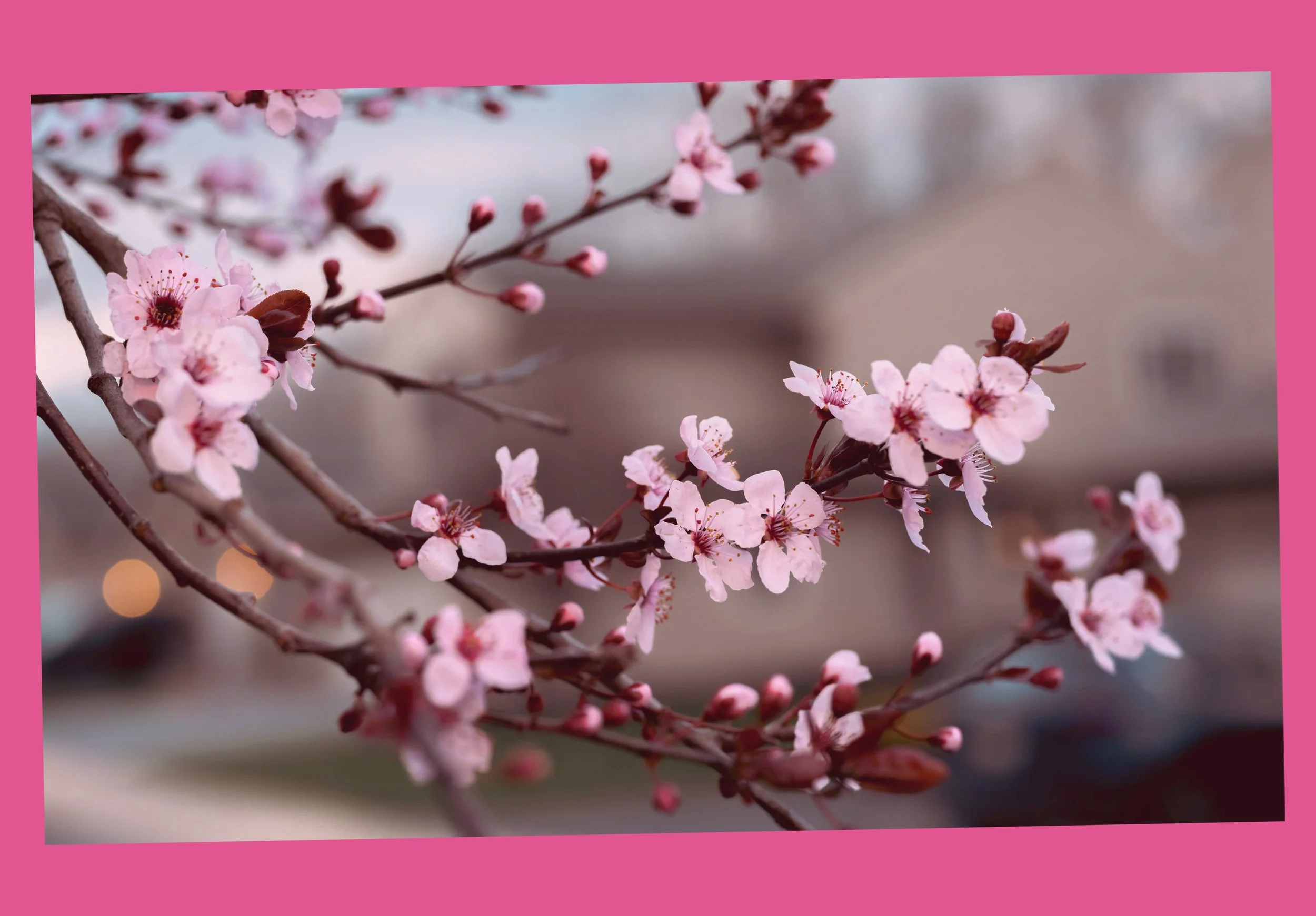 You Don’t Rise to Your Goals. You Return to Your State.