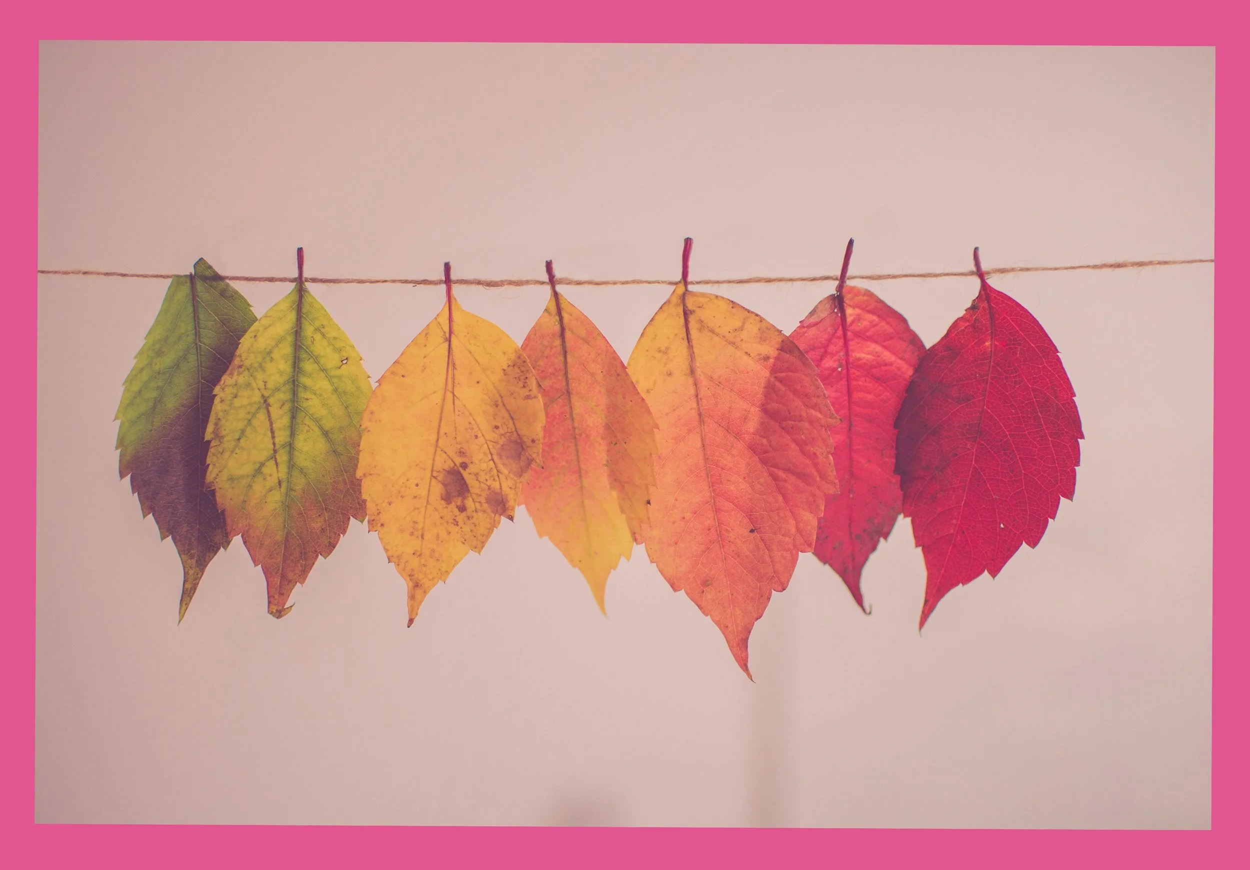 What Season Are You In?