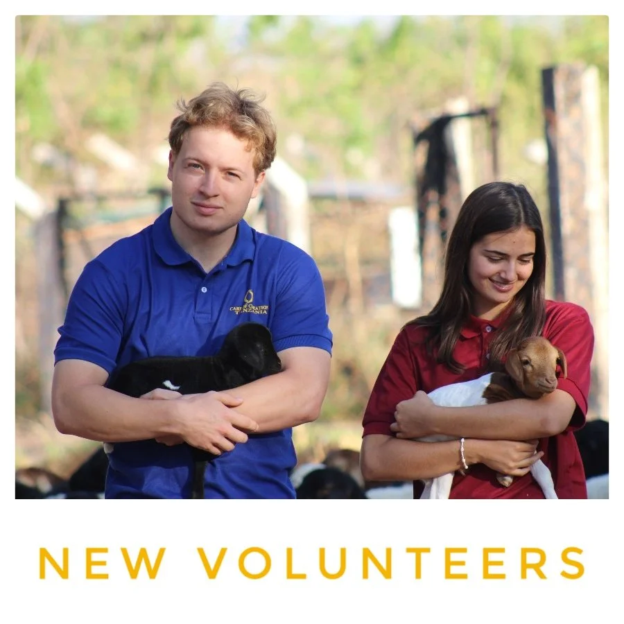 New Volunteers