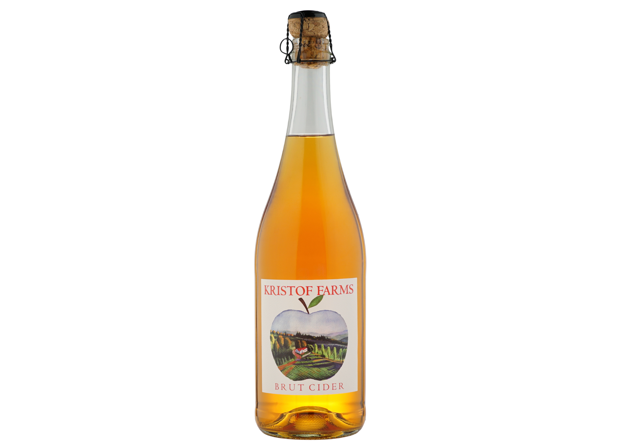 Brut 3 sizing transparent copy.png
