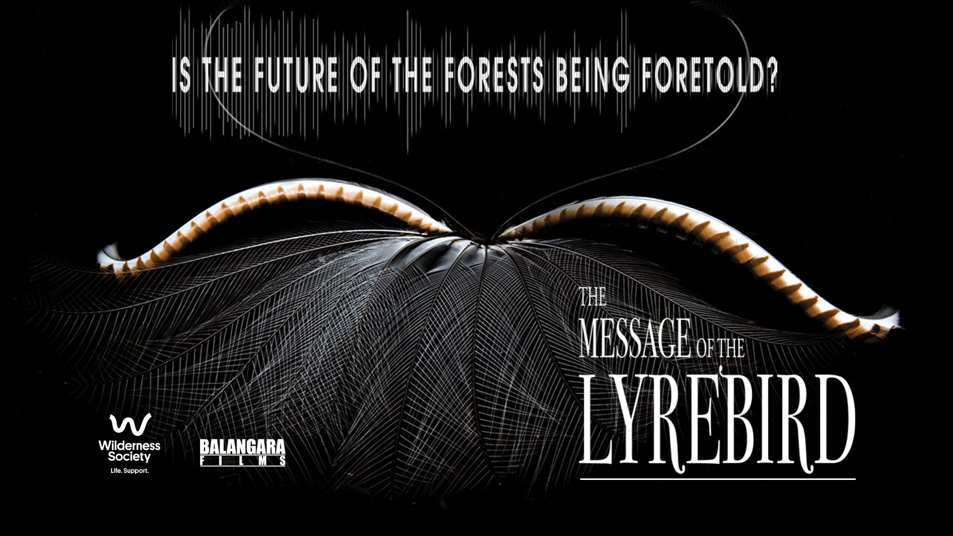 Watch ‘The Message of the Lyrebird’ (SBS On Demand)