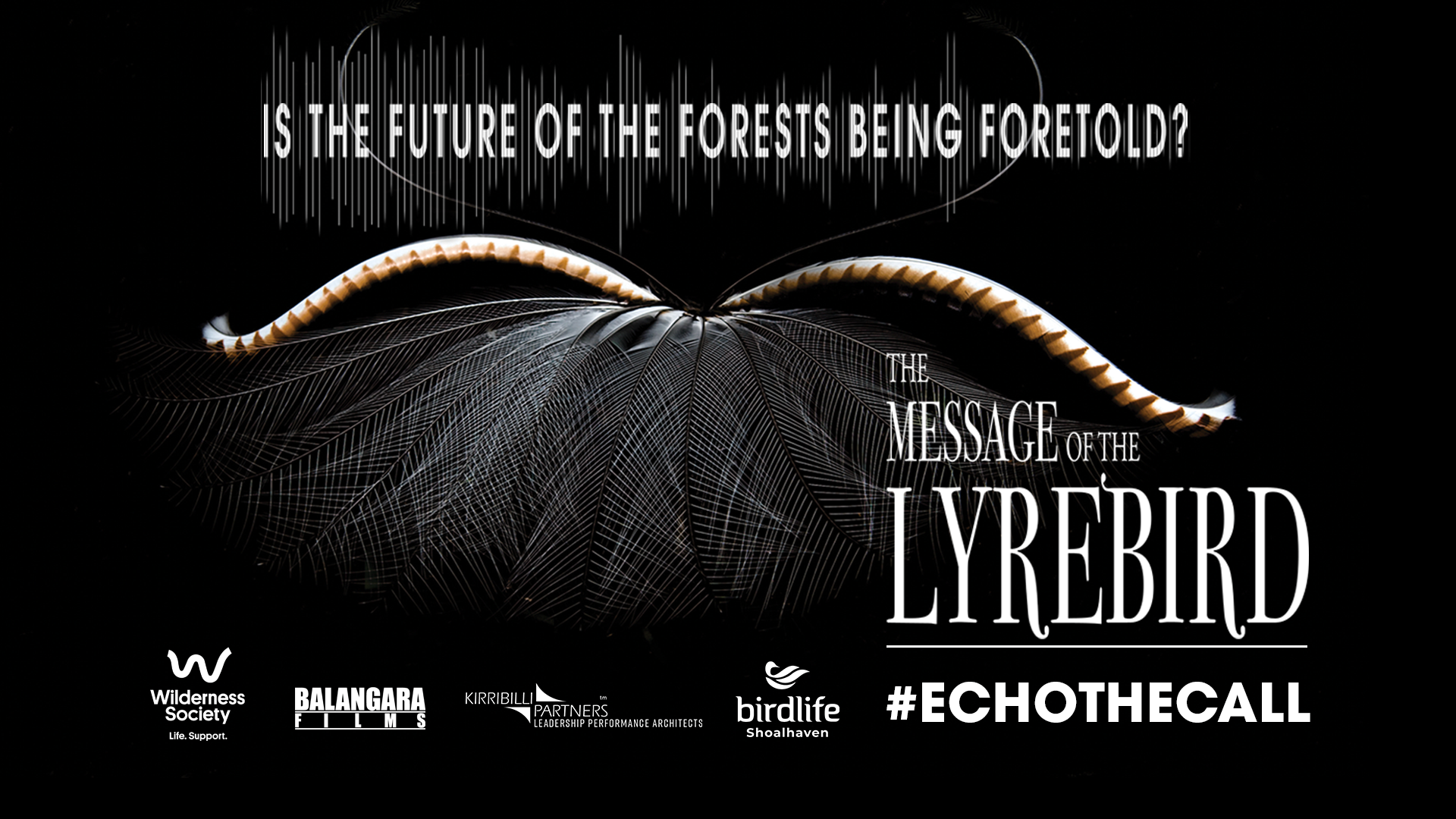 Is the future of the forests being foretold? (FilmInk)