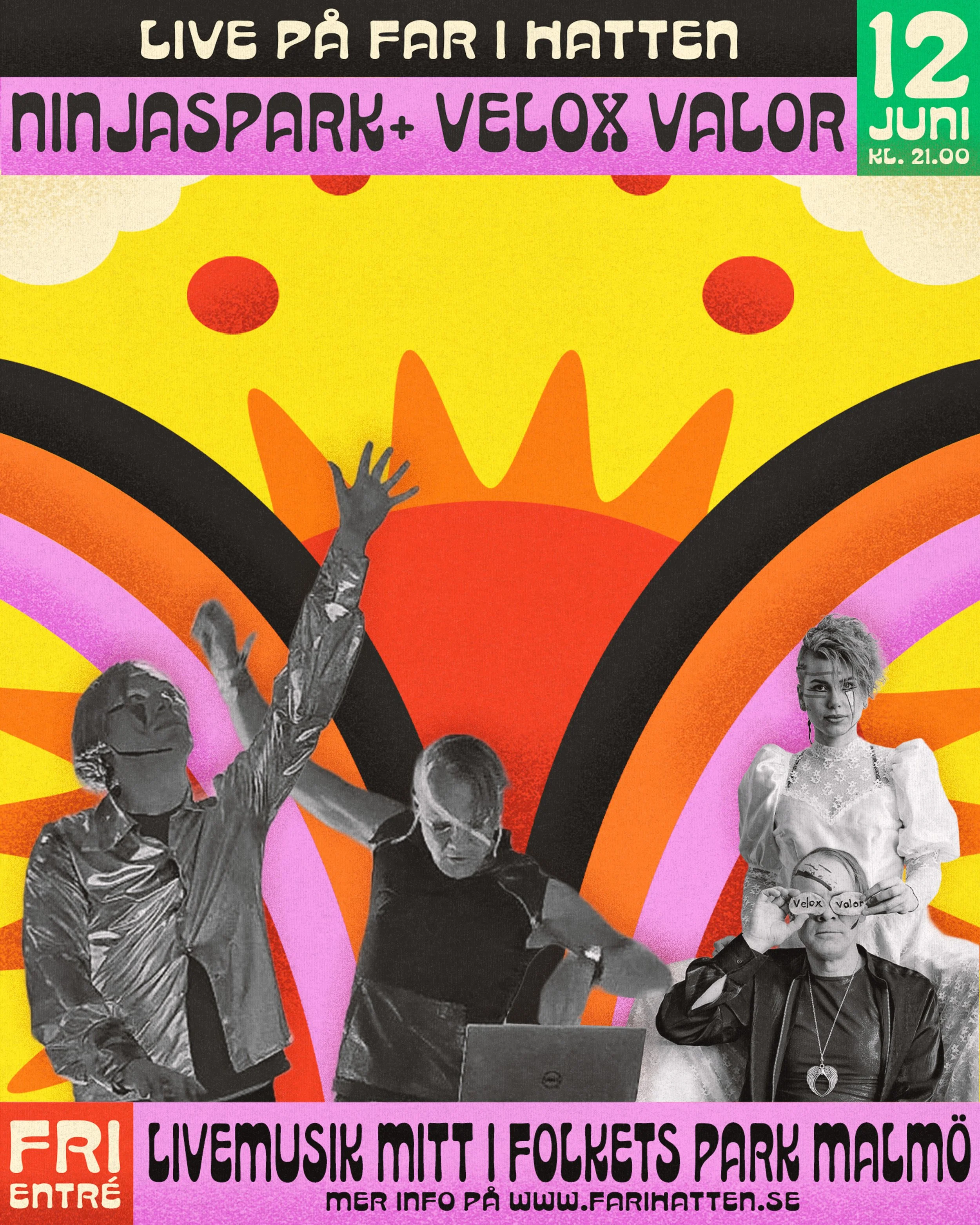 Live: Velox Valor + Ninjaspark + Bat Out Of Helsingborg