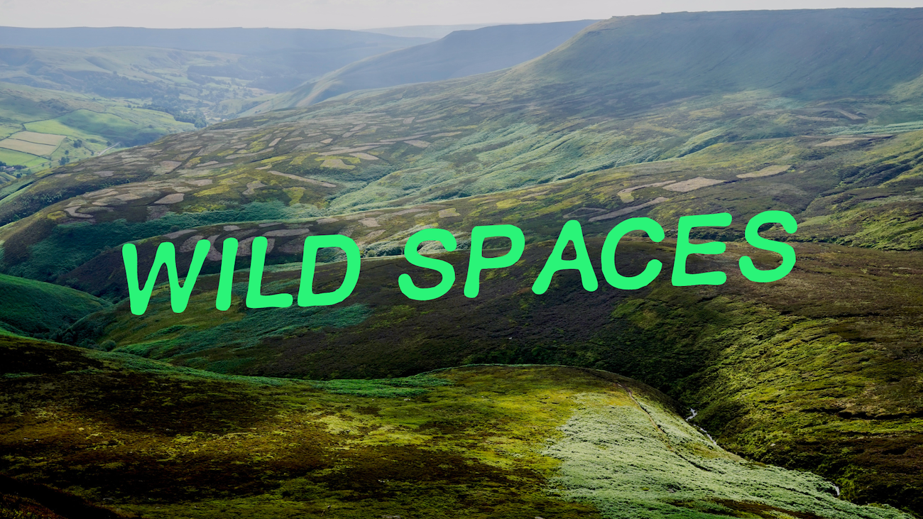 A landscape of rolling green hills and valleys with some patches of farmland, under a cloudy sky, overlaid with the words "WILD SPACES" in bright green text.