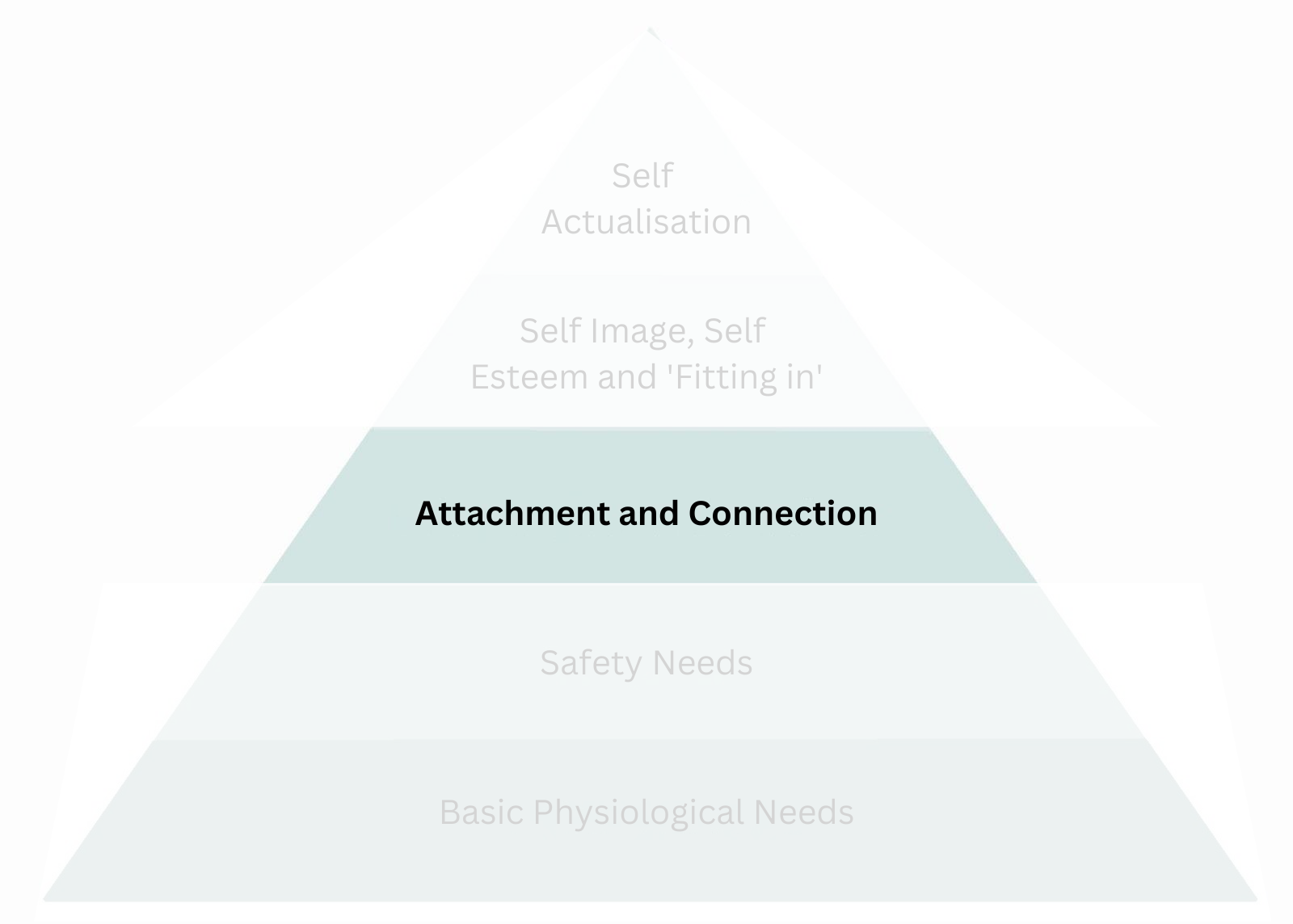 Attachment(1).png
