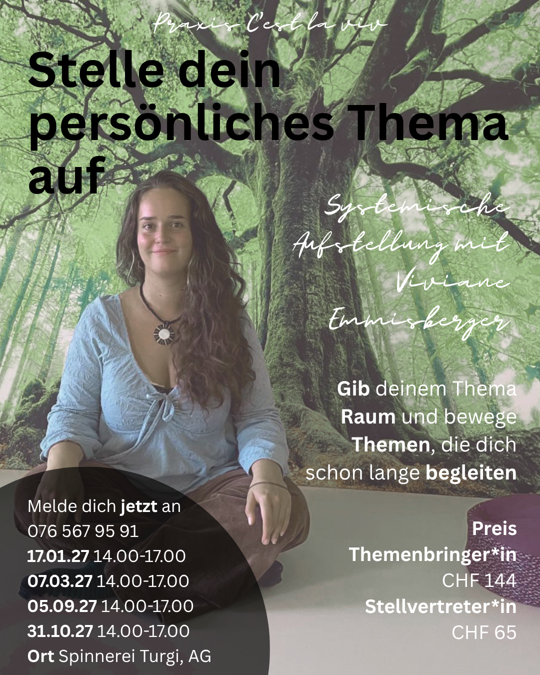 Stelle dein persönliches Thema auf - Systemische Aufstellung 