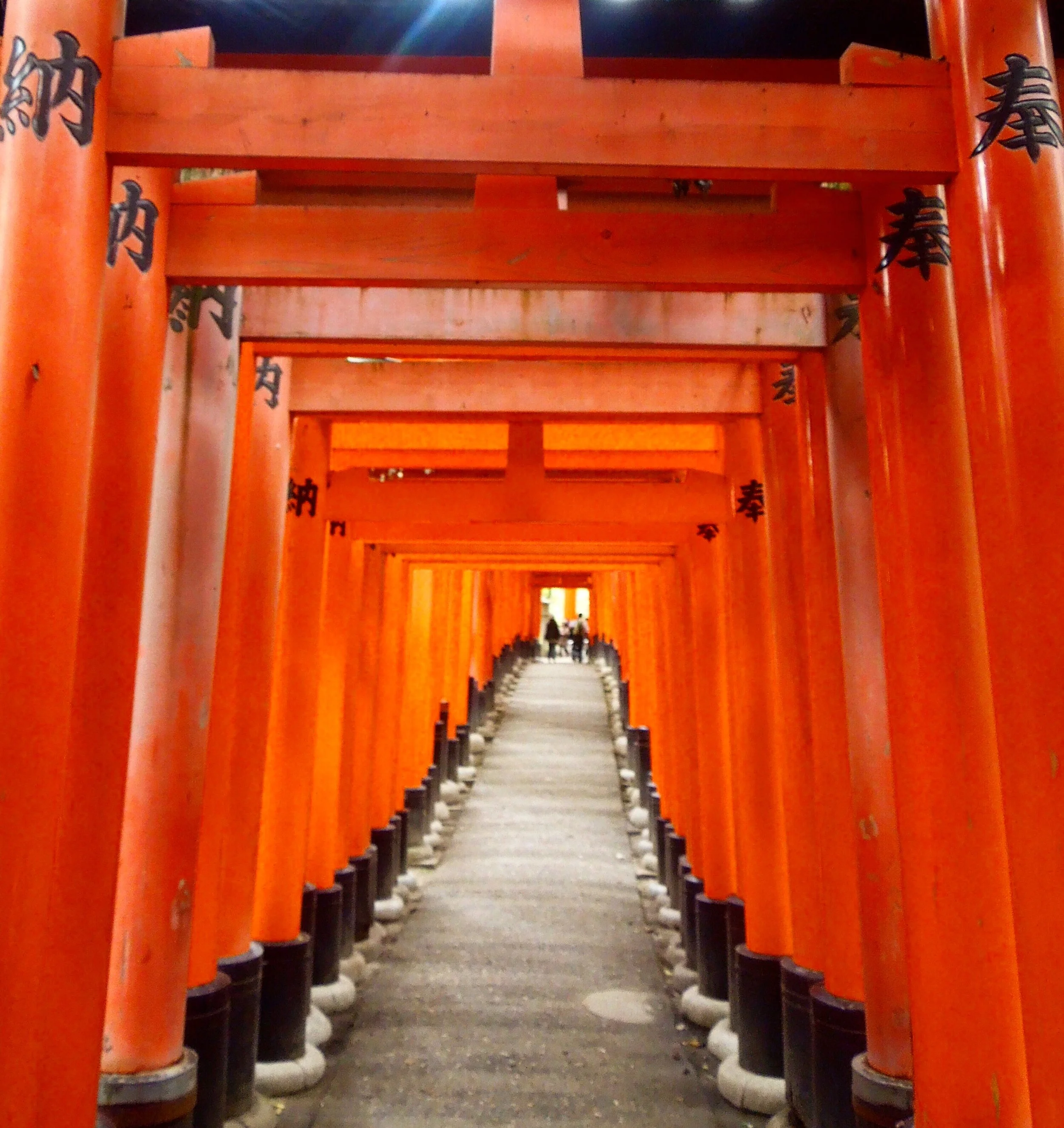 kyoto.jpg