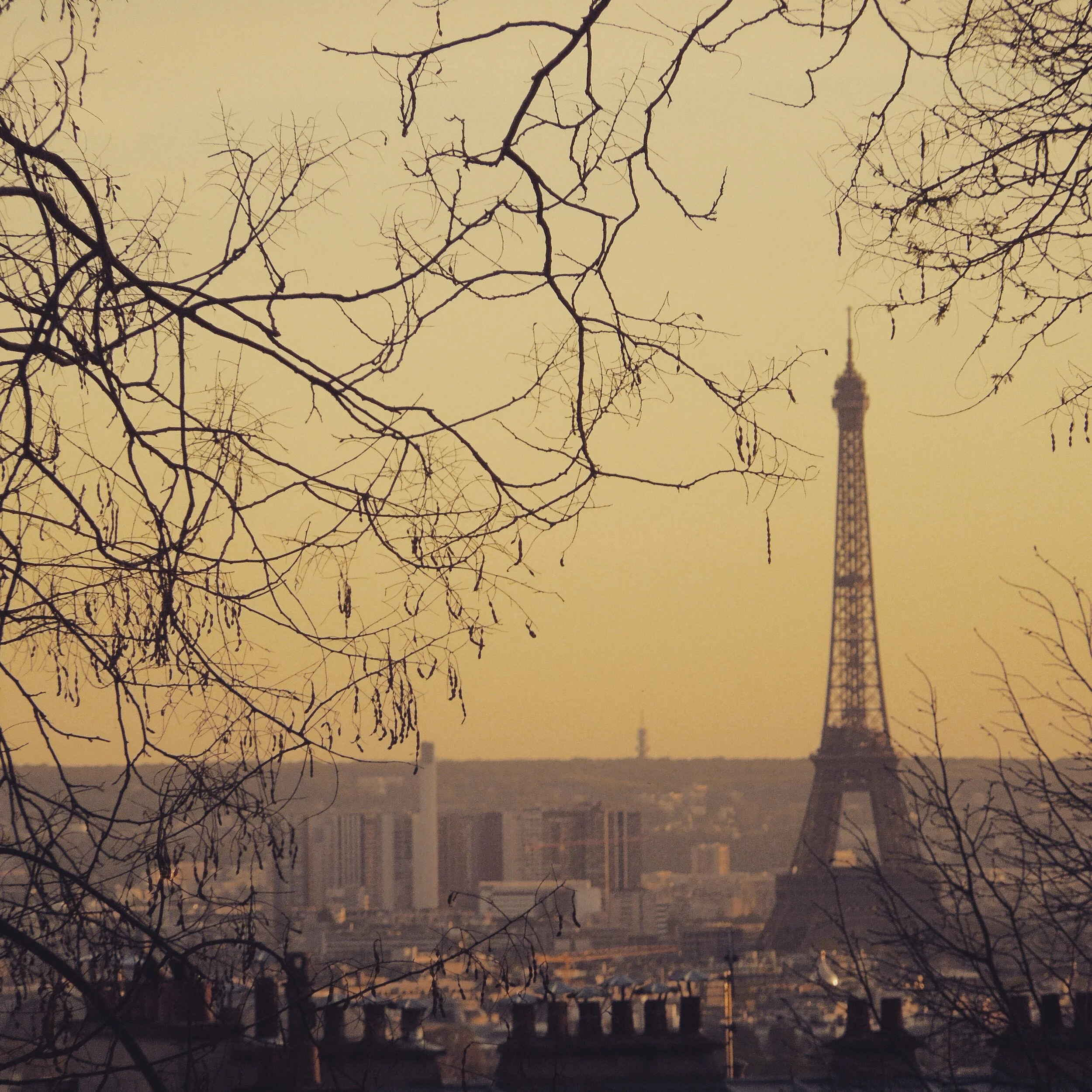 paris.jpg