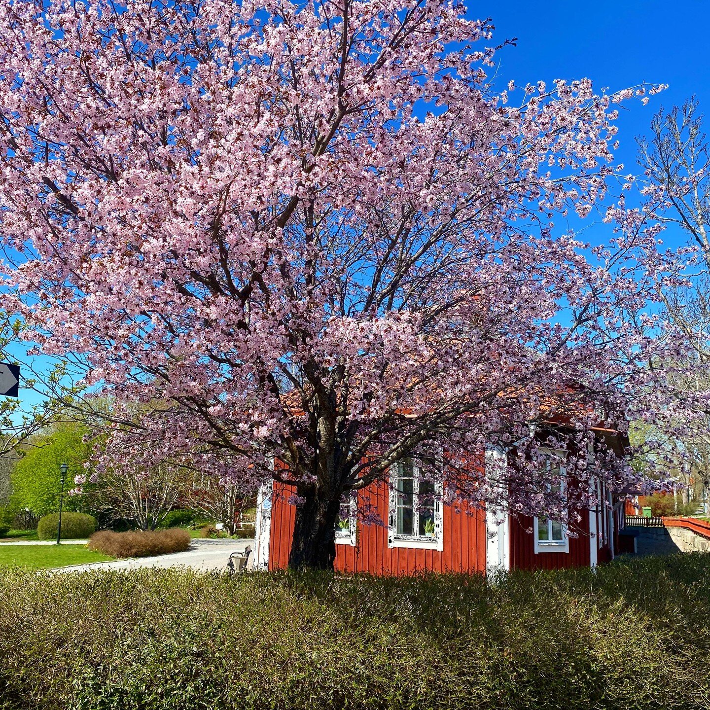 F&ouml;rsta nej:et kom in idag fr&aring;n ett litter&auml;r agentur. Nu k&auml;nner jag bara &ndash; nu &auml;r det ig&aring;ng! Ett nej &auml;r ju en del av resan, eller hur?

Oavsett nej:en som ramlar in i mejlkorgen s&aring; &auml;r ju &auml;nd&ar