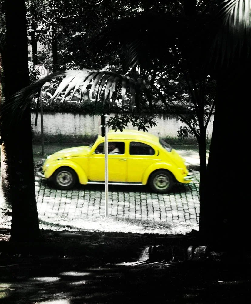 little_yellow_beetle_by_coyotegirl_d18o5l1-414w-2x.jpg