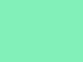 Solid light mint green background