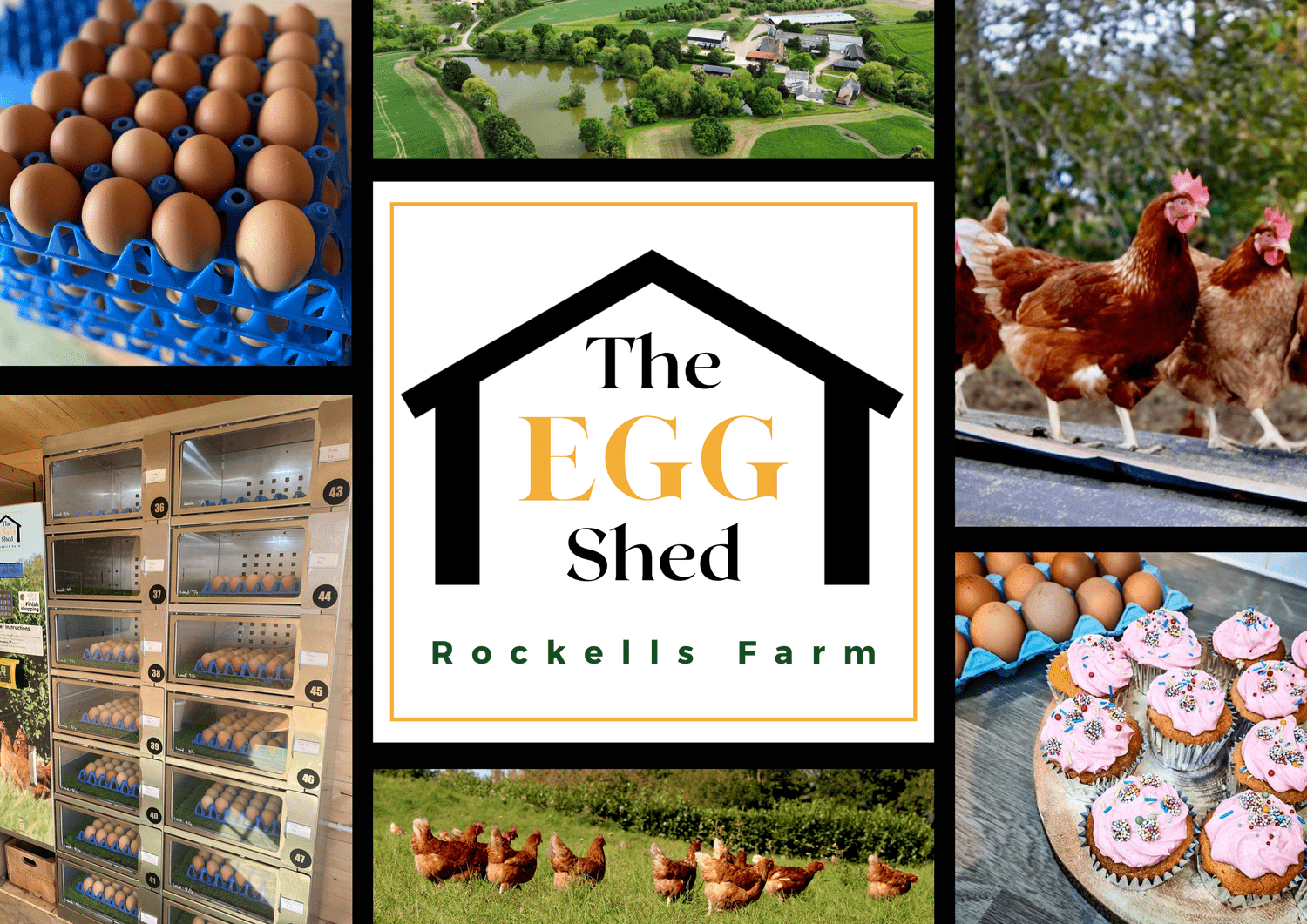 THE EGG SHED — Rockells Farm