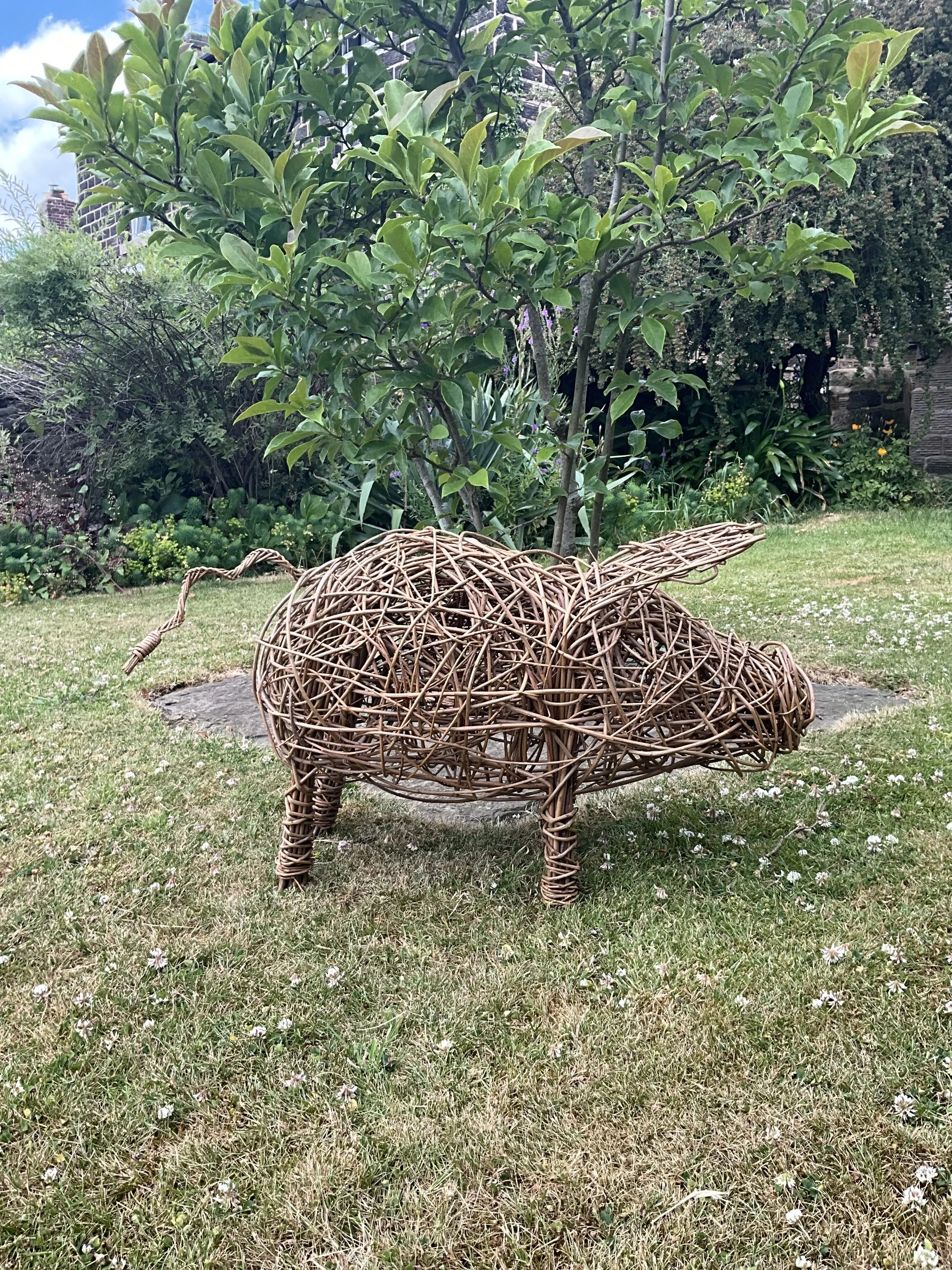 IMG_0094.jpeg