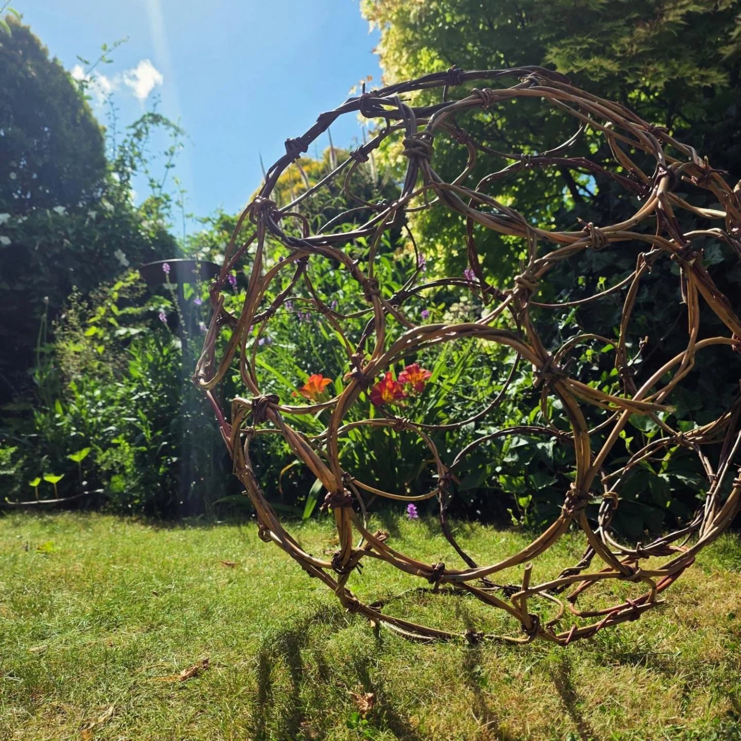 ‘Willowing’ at Wentworth