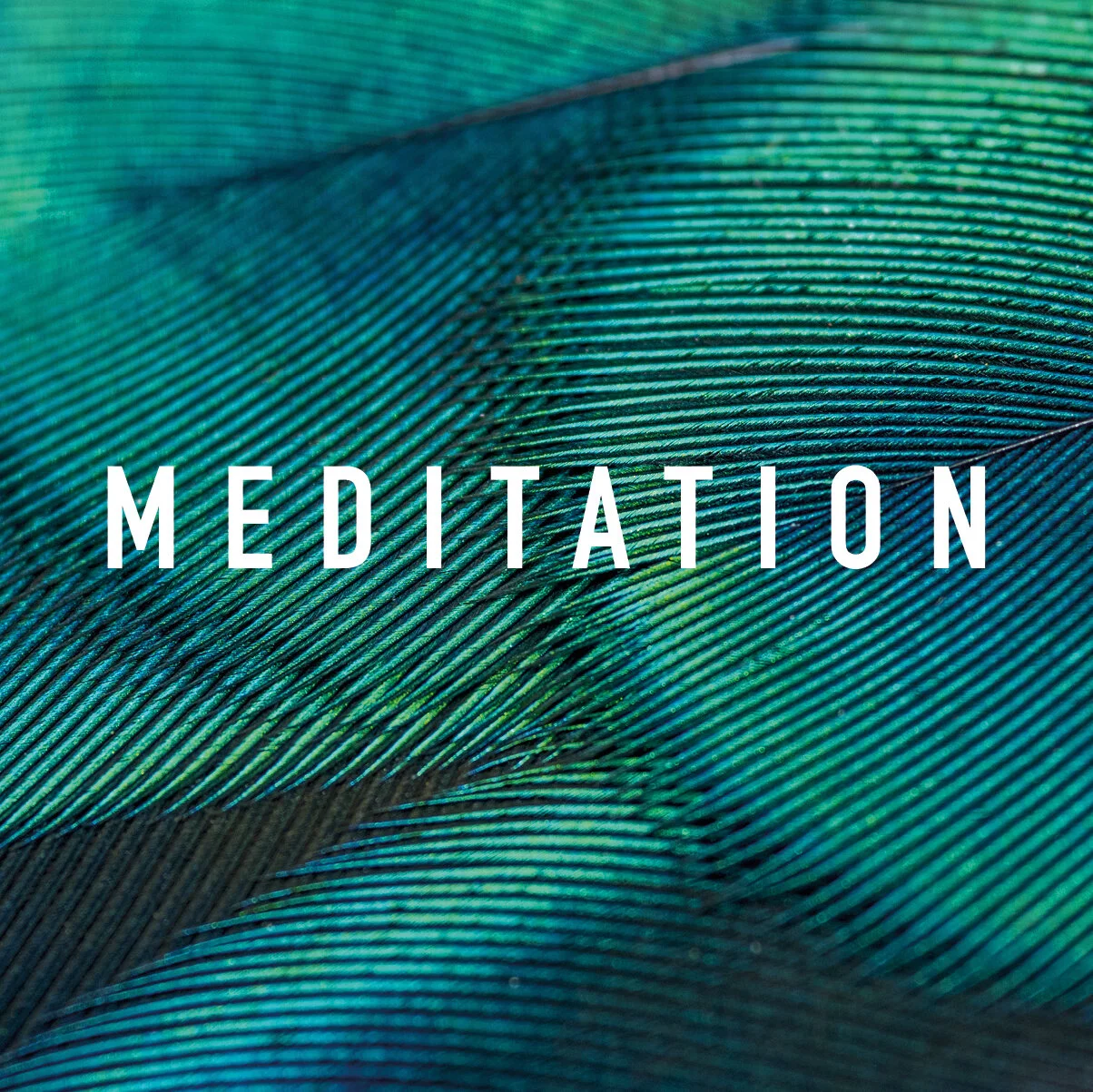Kin-meditation-square (1).jpg