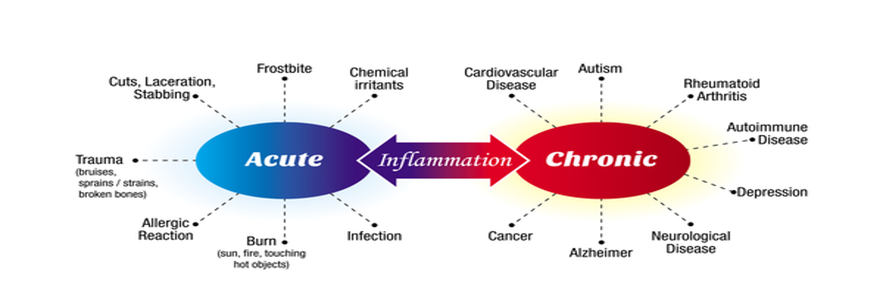inflammation.png