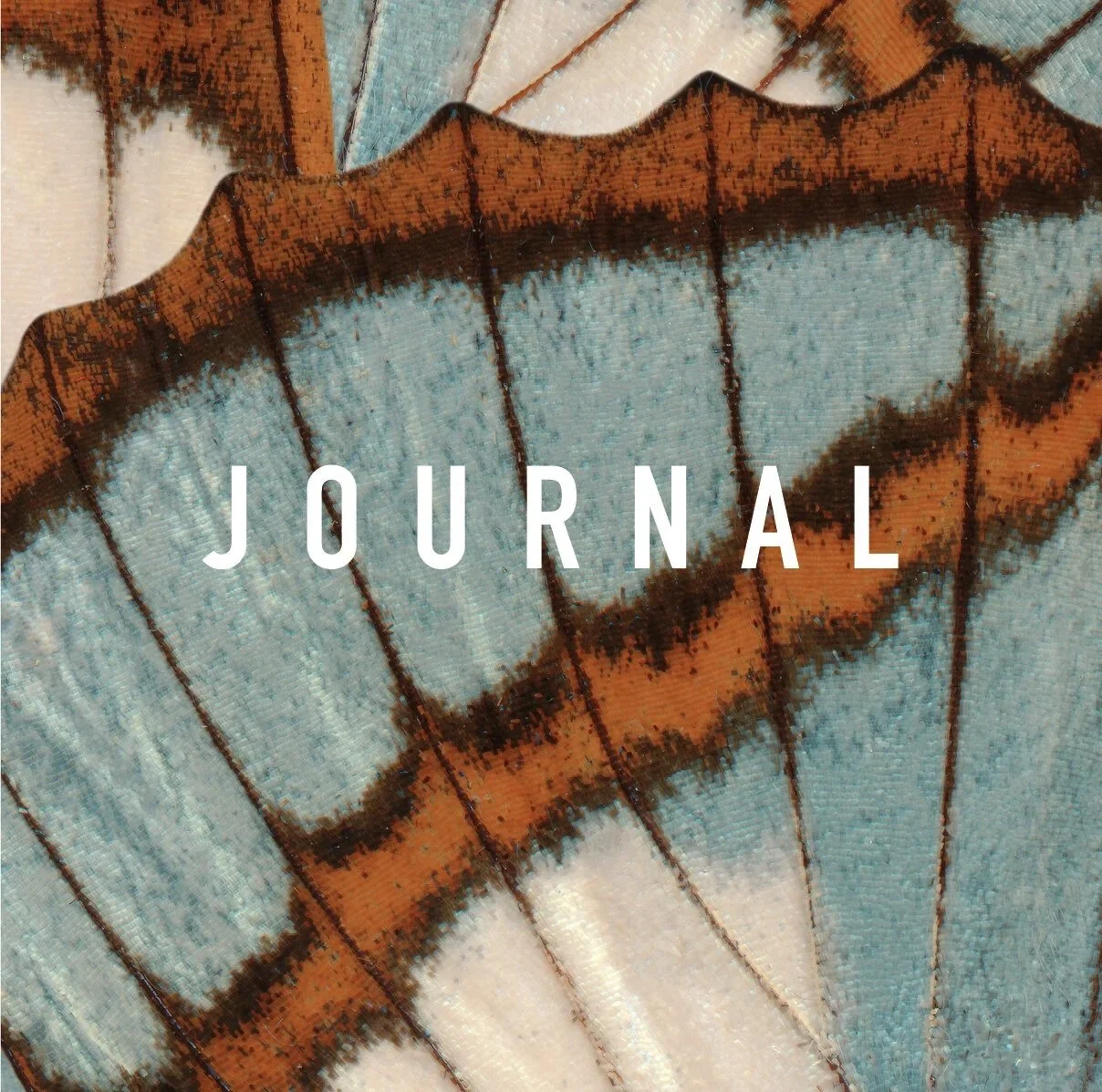 Kin-journal-square.jpg