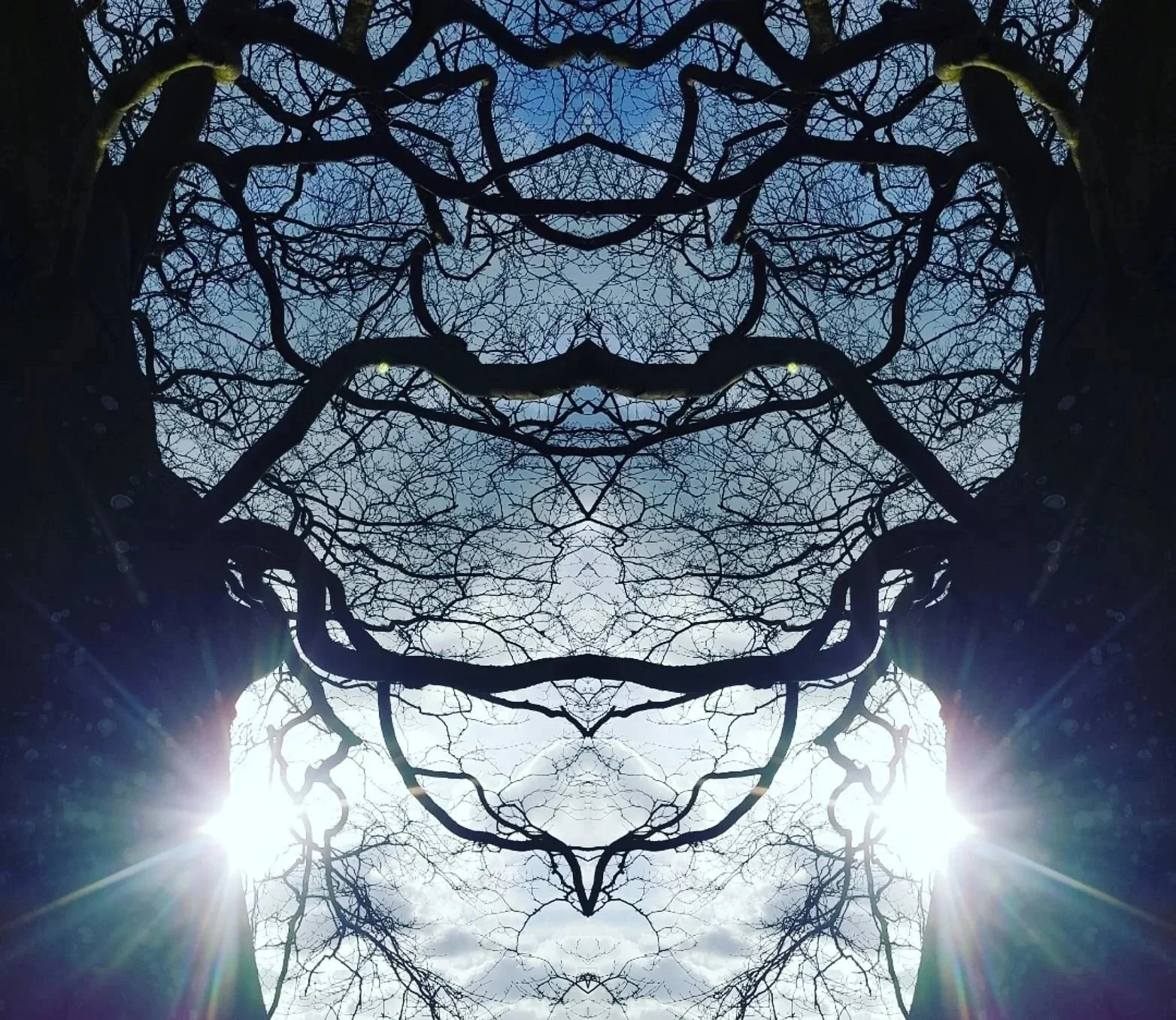 tree%2Bmirror.jpg